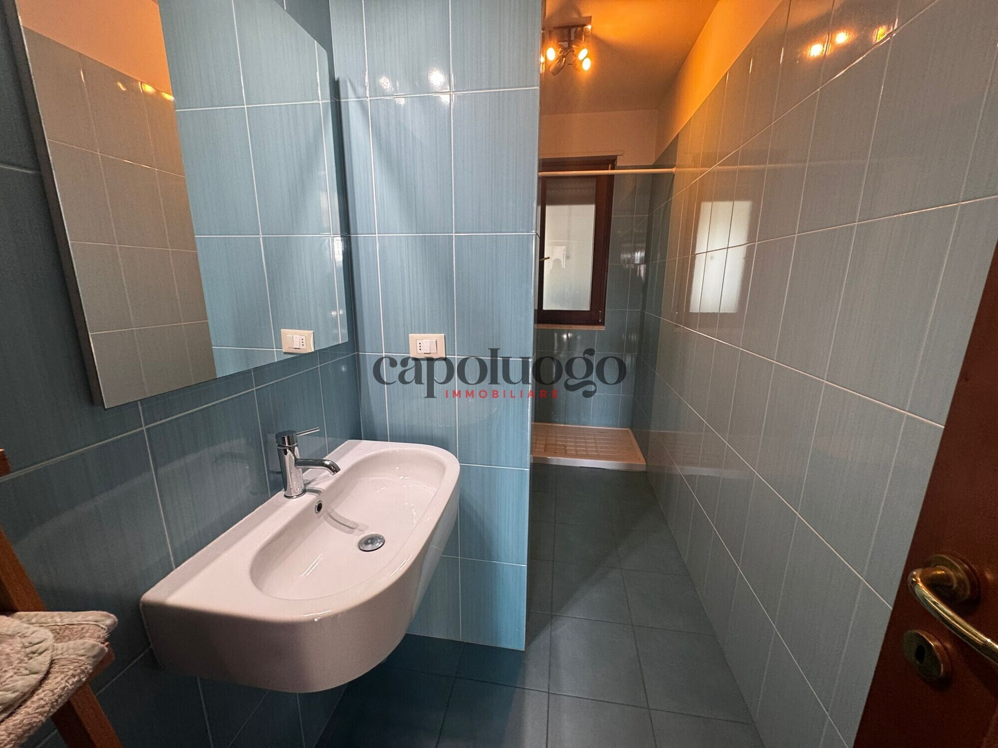 WhatsApp Image 2026-04-03 at 17.51.25