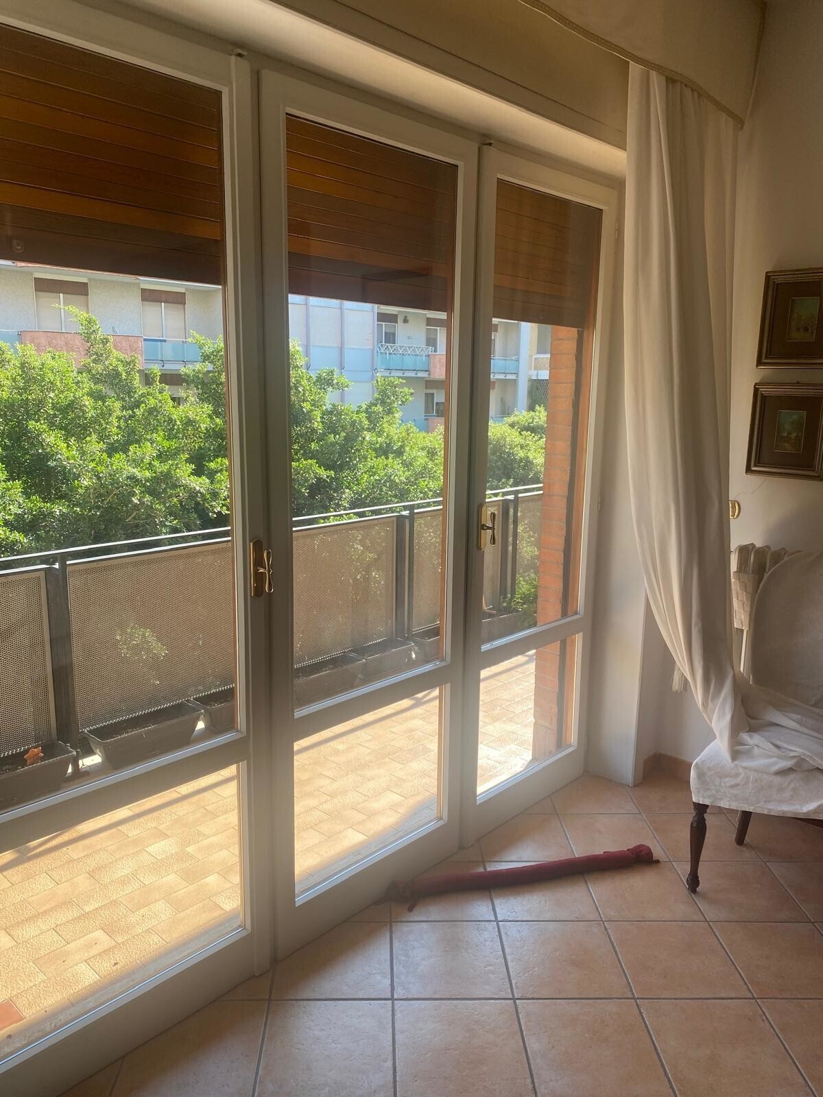 WhatsApp Image 2024-11-19 at 11.46.03