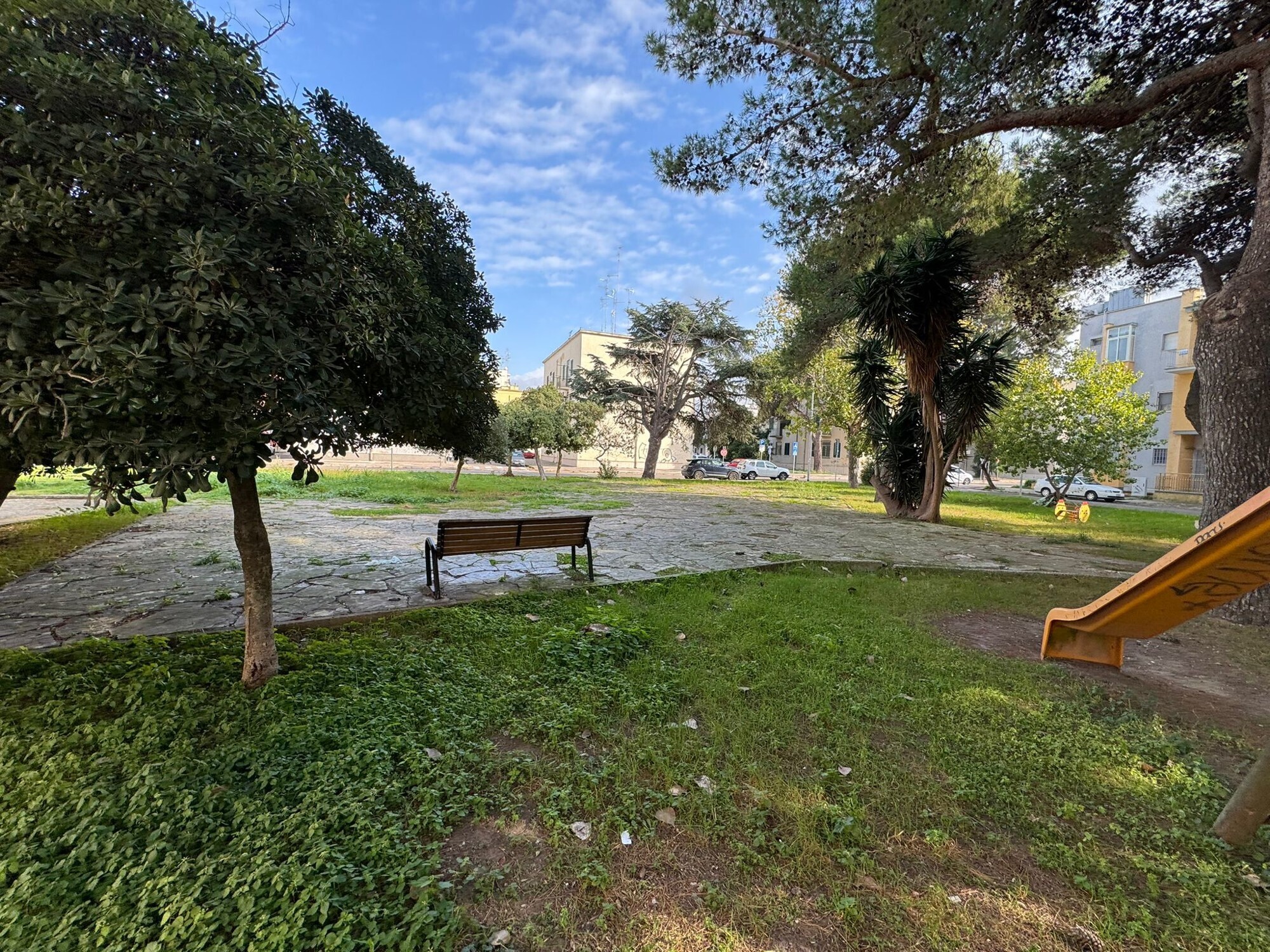 WhatsApp Image 2024-11-28 at 16.40.29 (1)