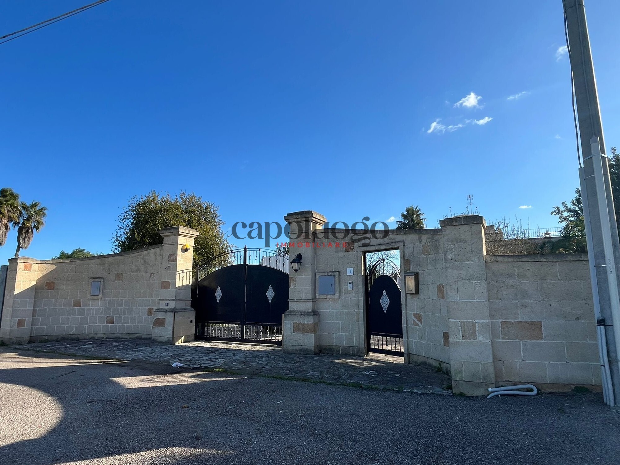 WhatsApp Image 2024-12-17 at 13.45.57