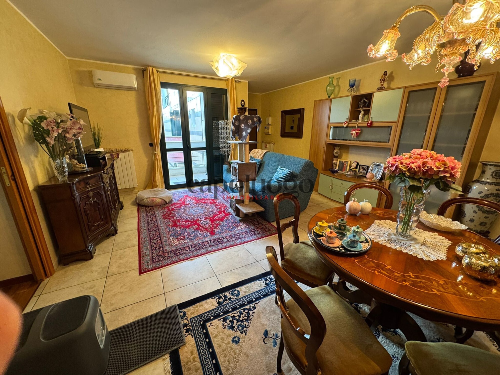 WhatsApp Image 2025-02-10 at 10.03.16 (1)