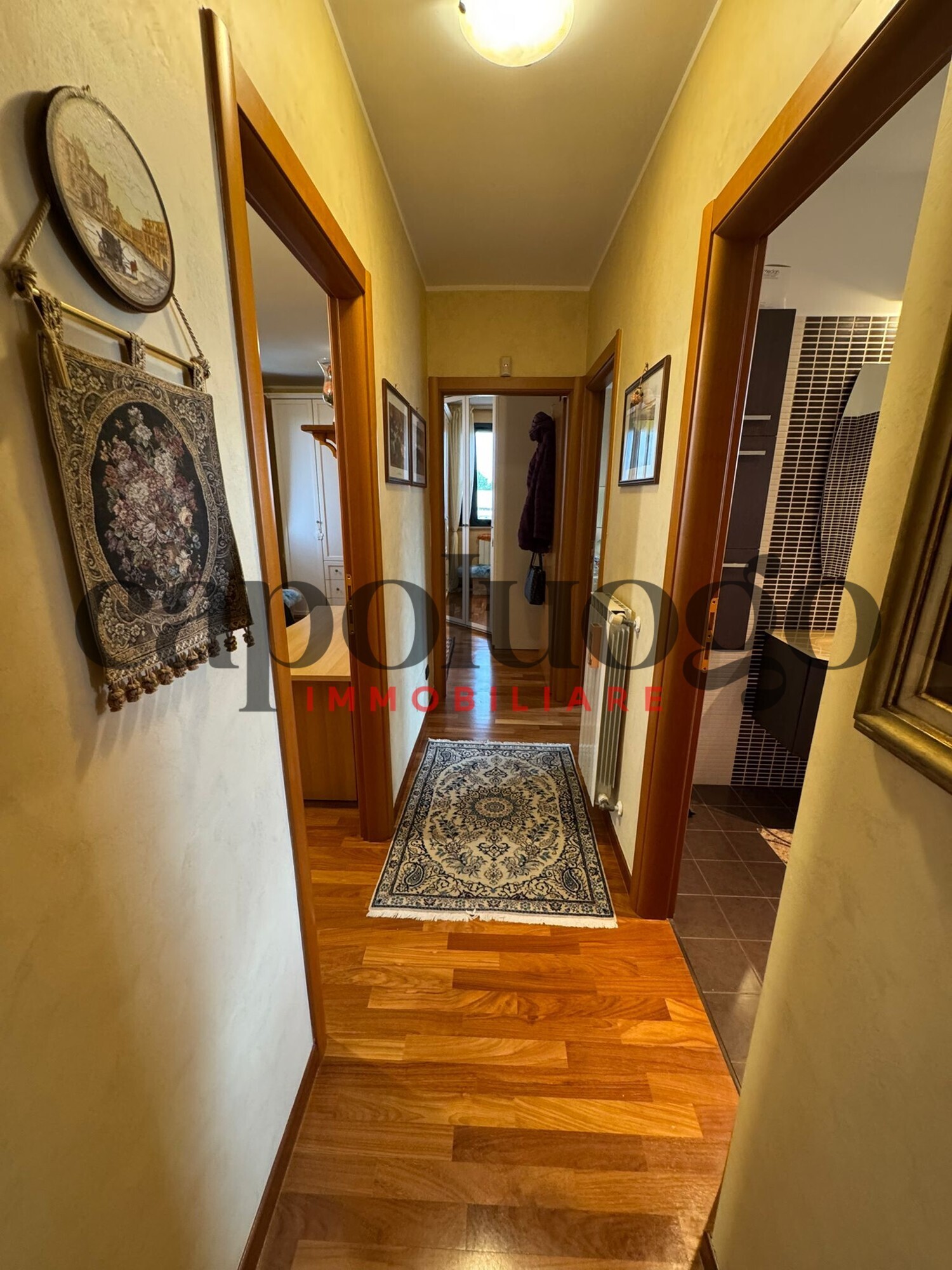 WhatsApp Image 2025-02-10 at 10.03.25