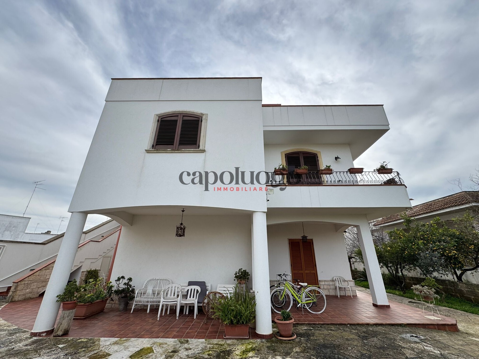 WhatsApp Image 2025-02-10 at 11.54.21 (3)