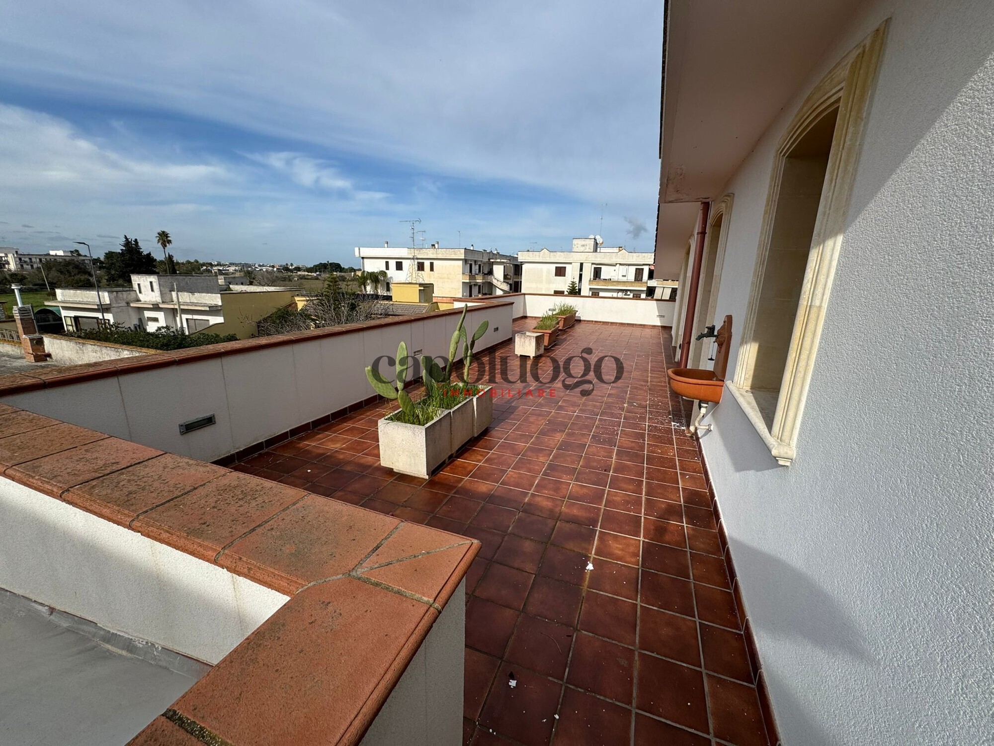 WhatsApp Image 2025-02-10 at 11.54.54 (1)