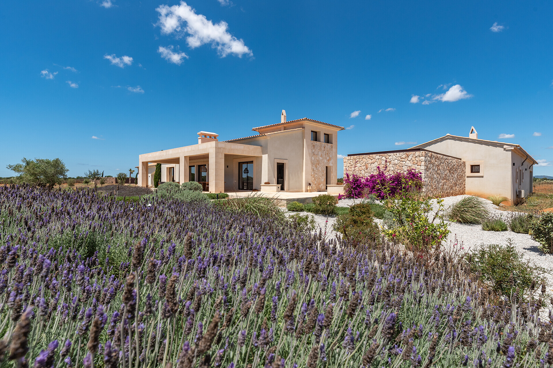 finca-campos- (4)