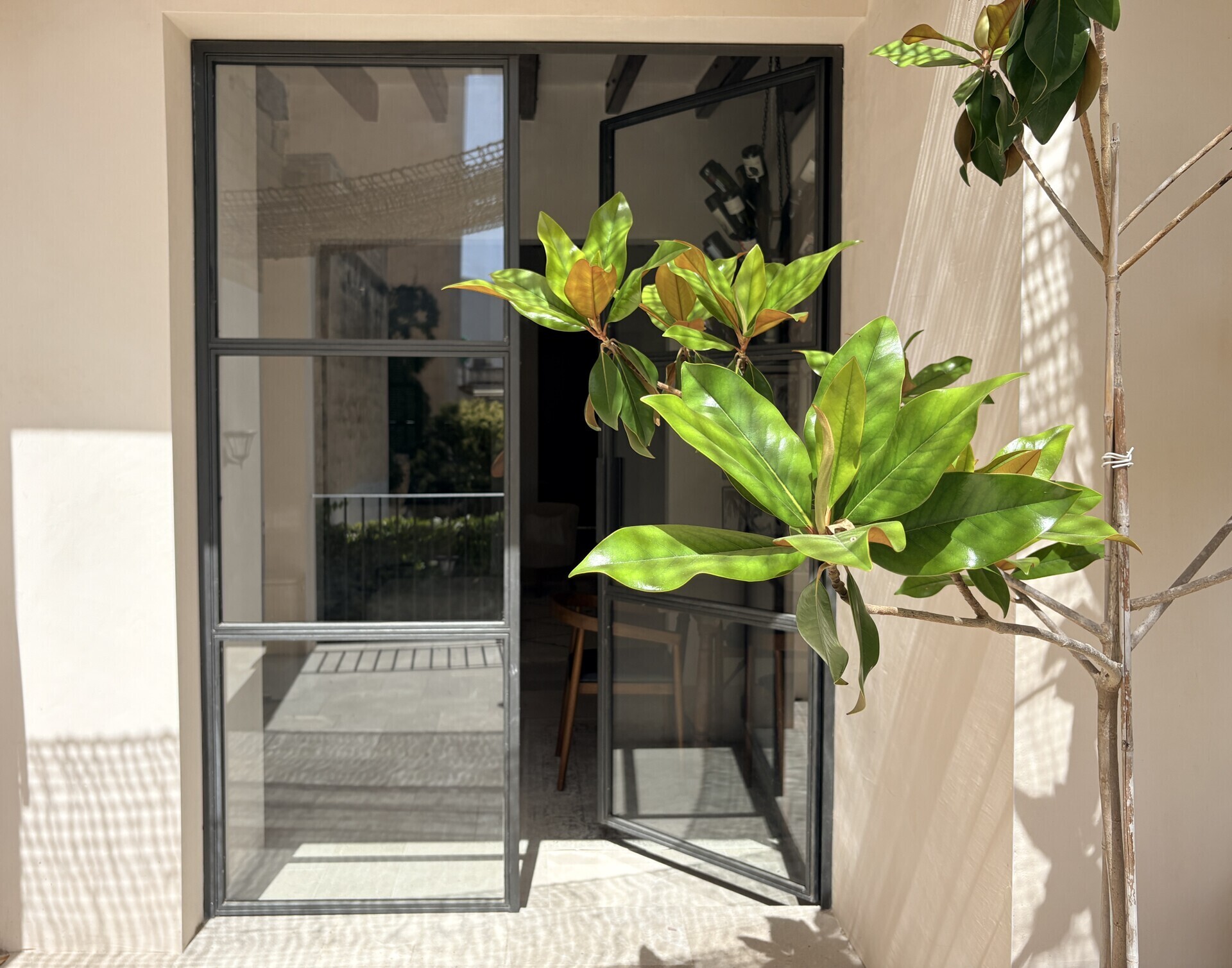 Property picture