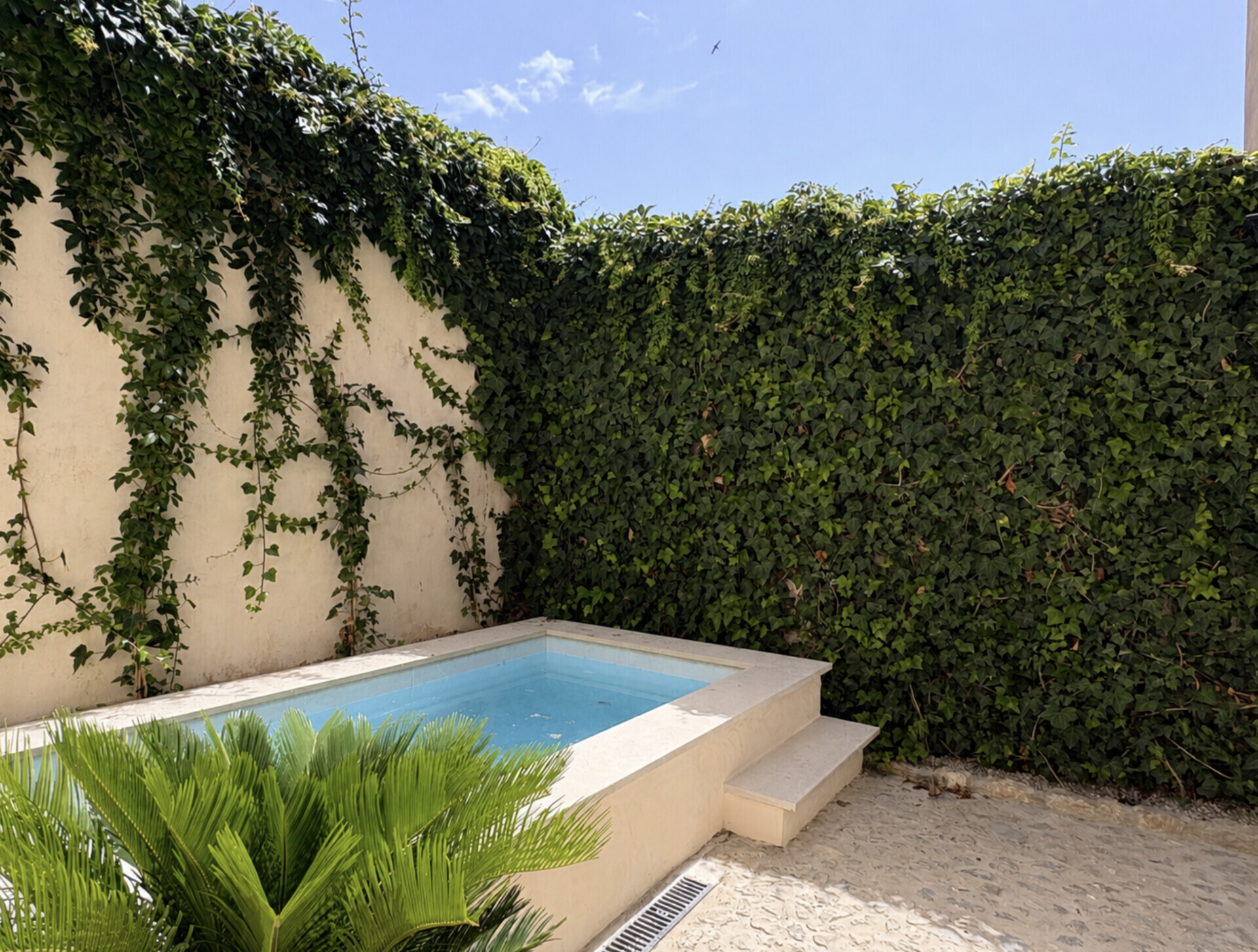 Property picture
