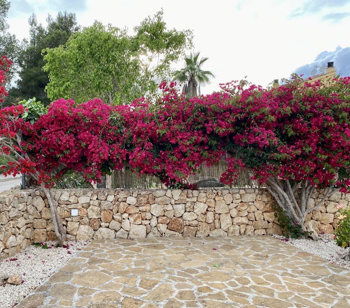 Property picture