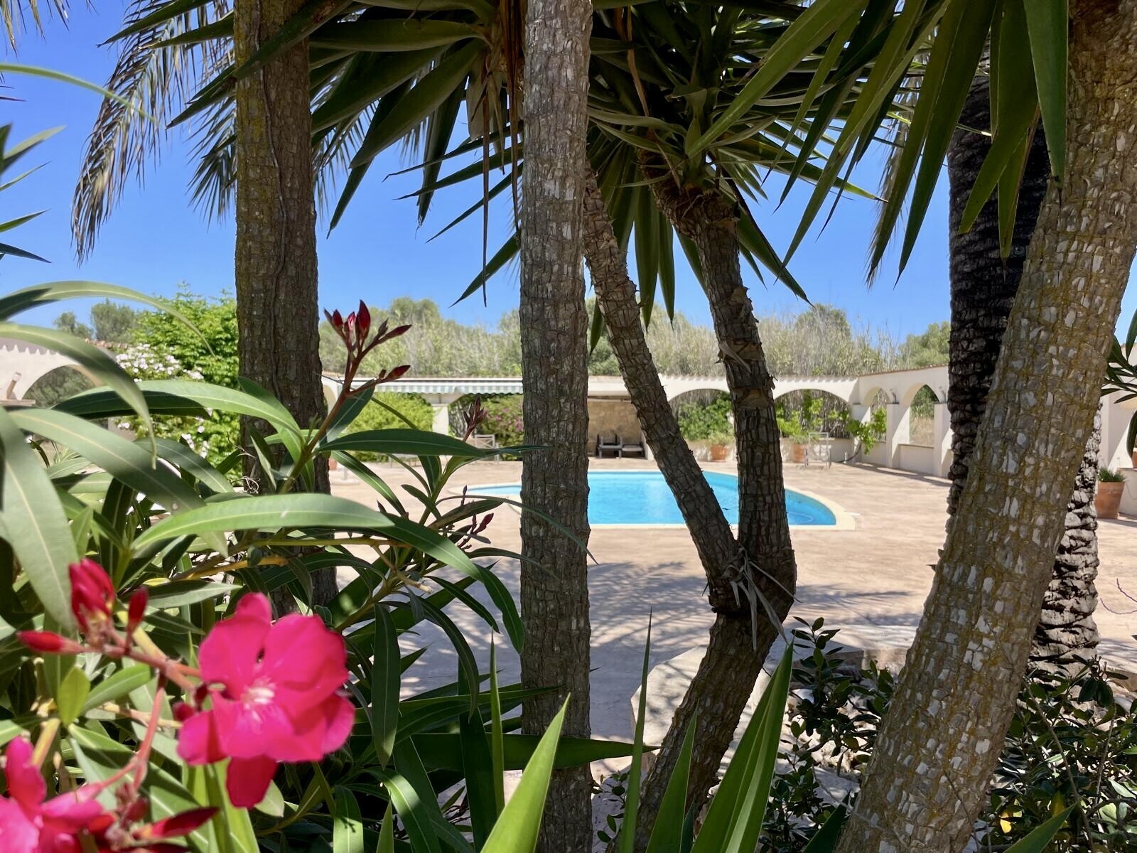 Property picture