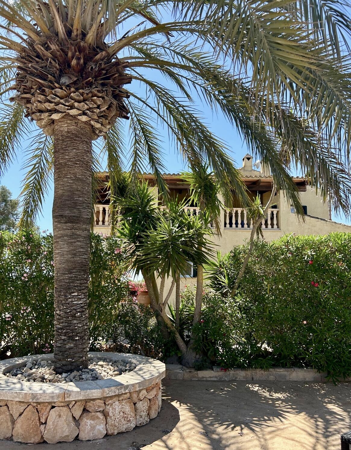 Property picture