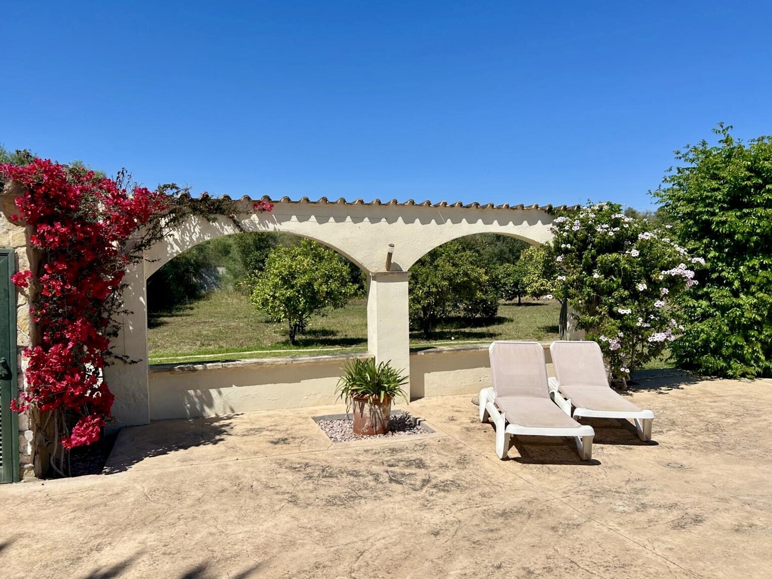 Property picture