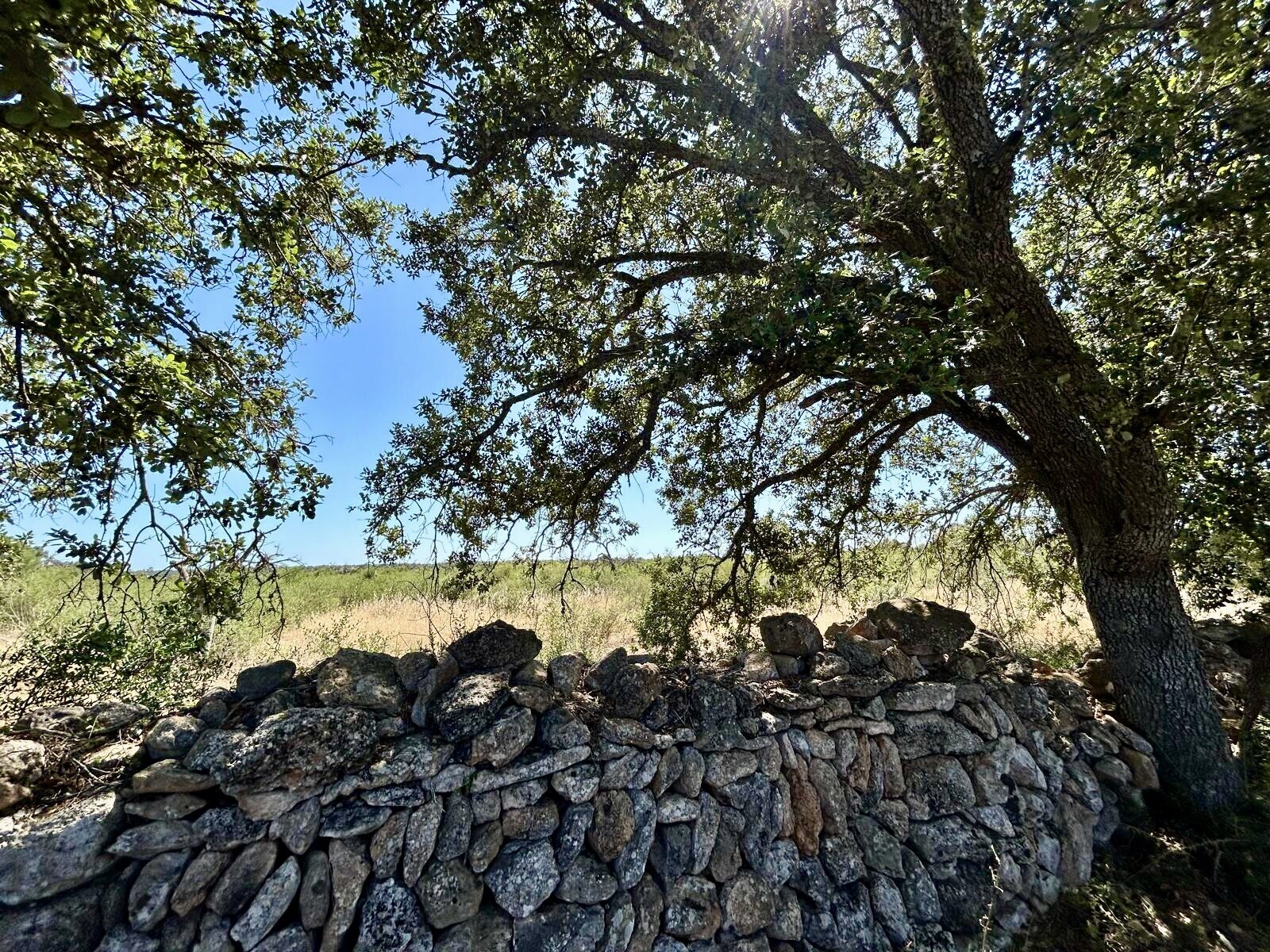 Property picture