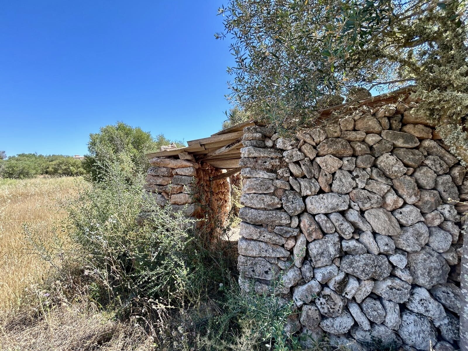 Property picture