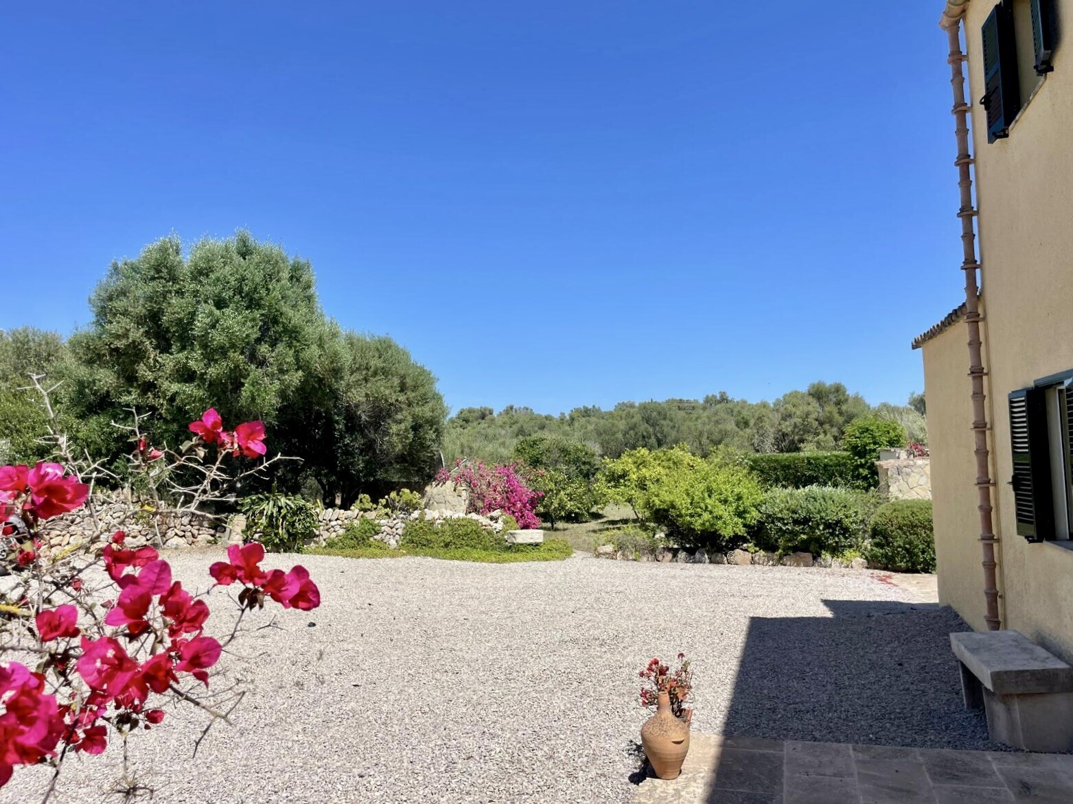 Property picture