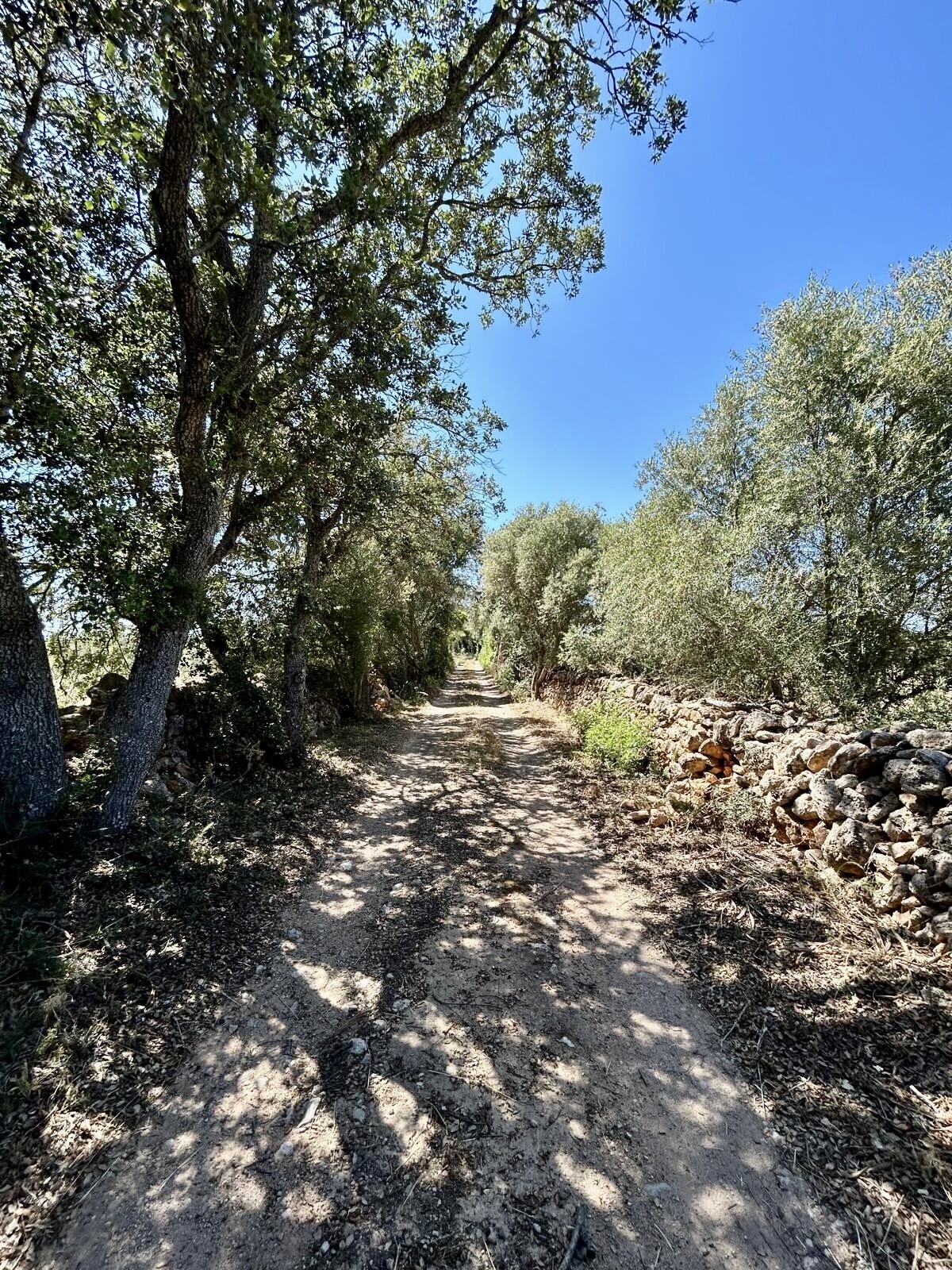 Property picture