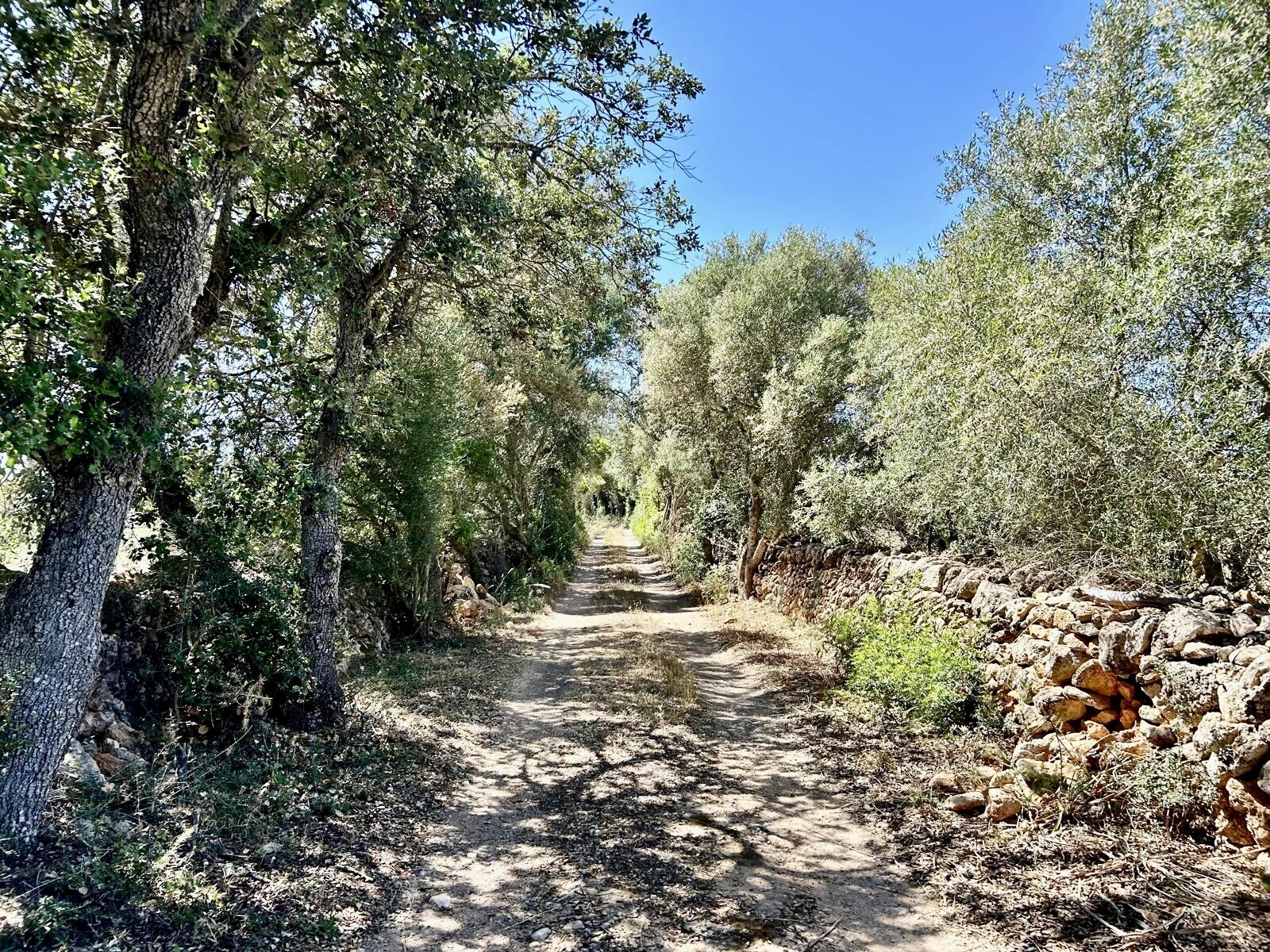Property picture