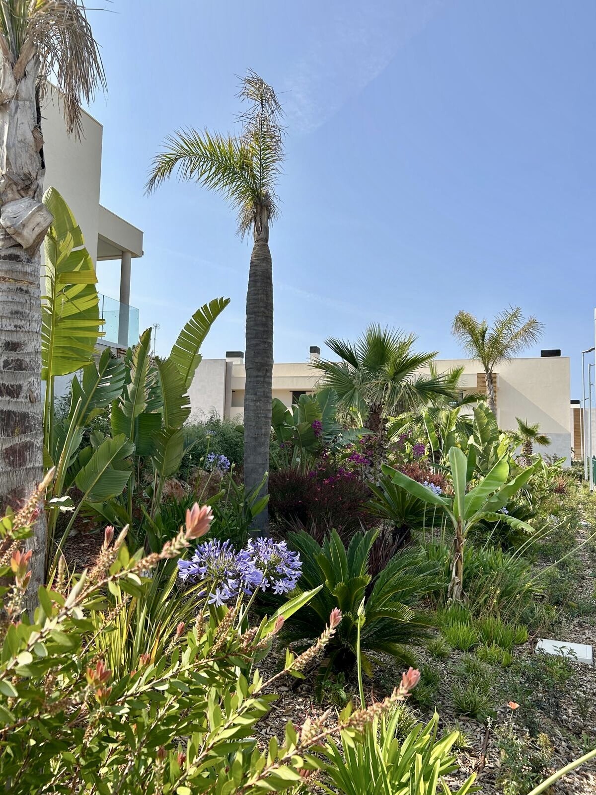 Property picture