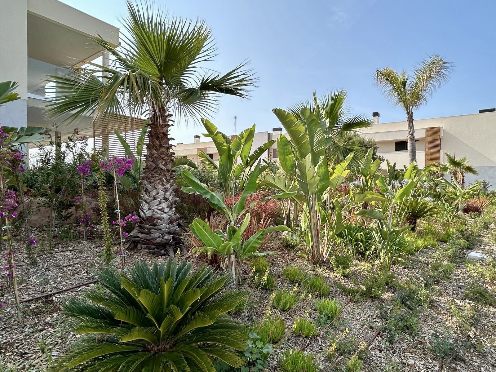 Property picture