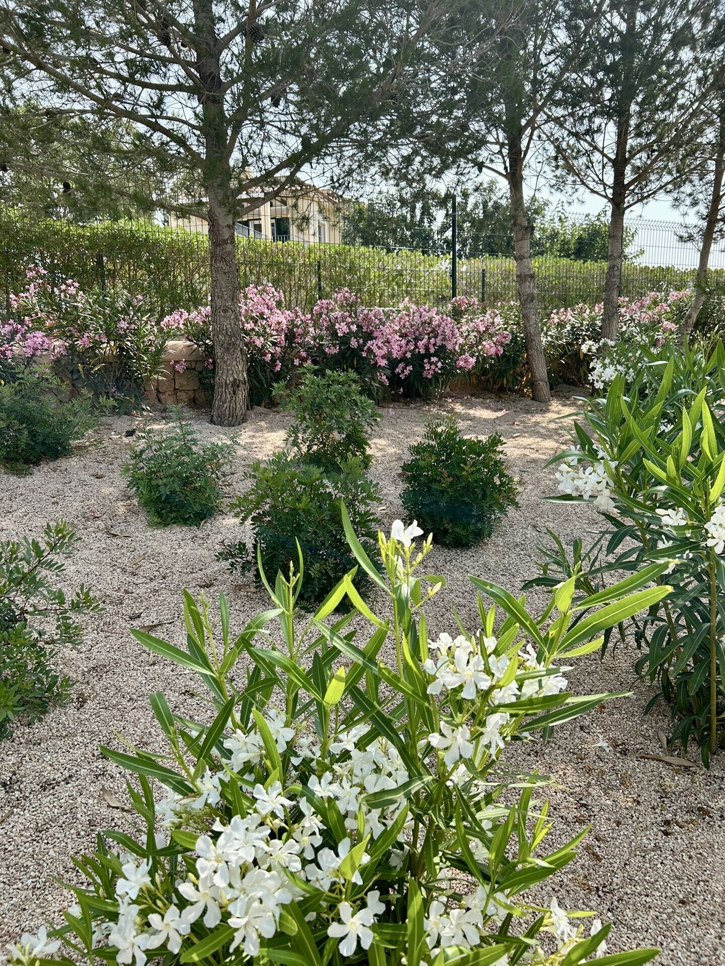Property picture