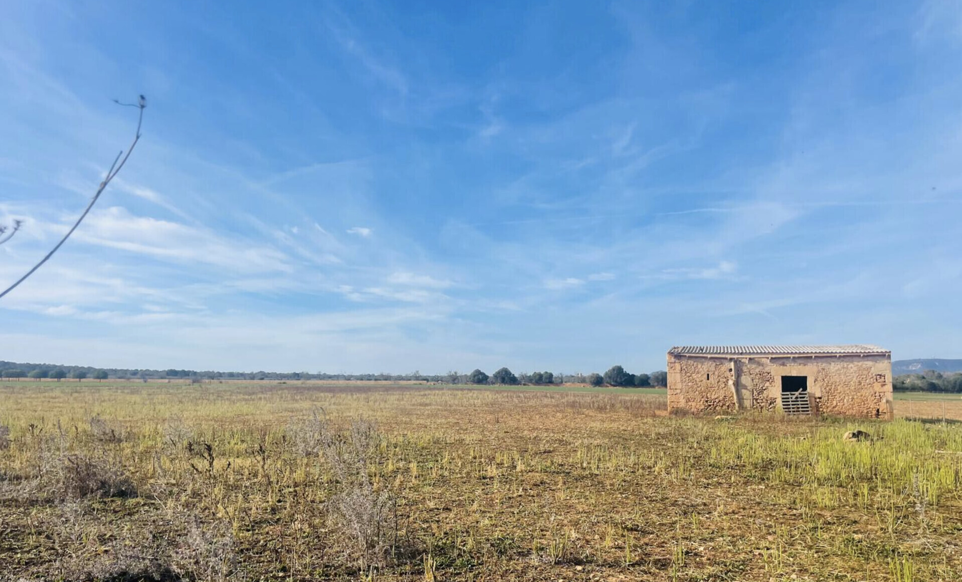 Property picture