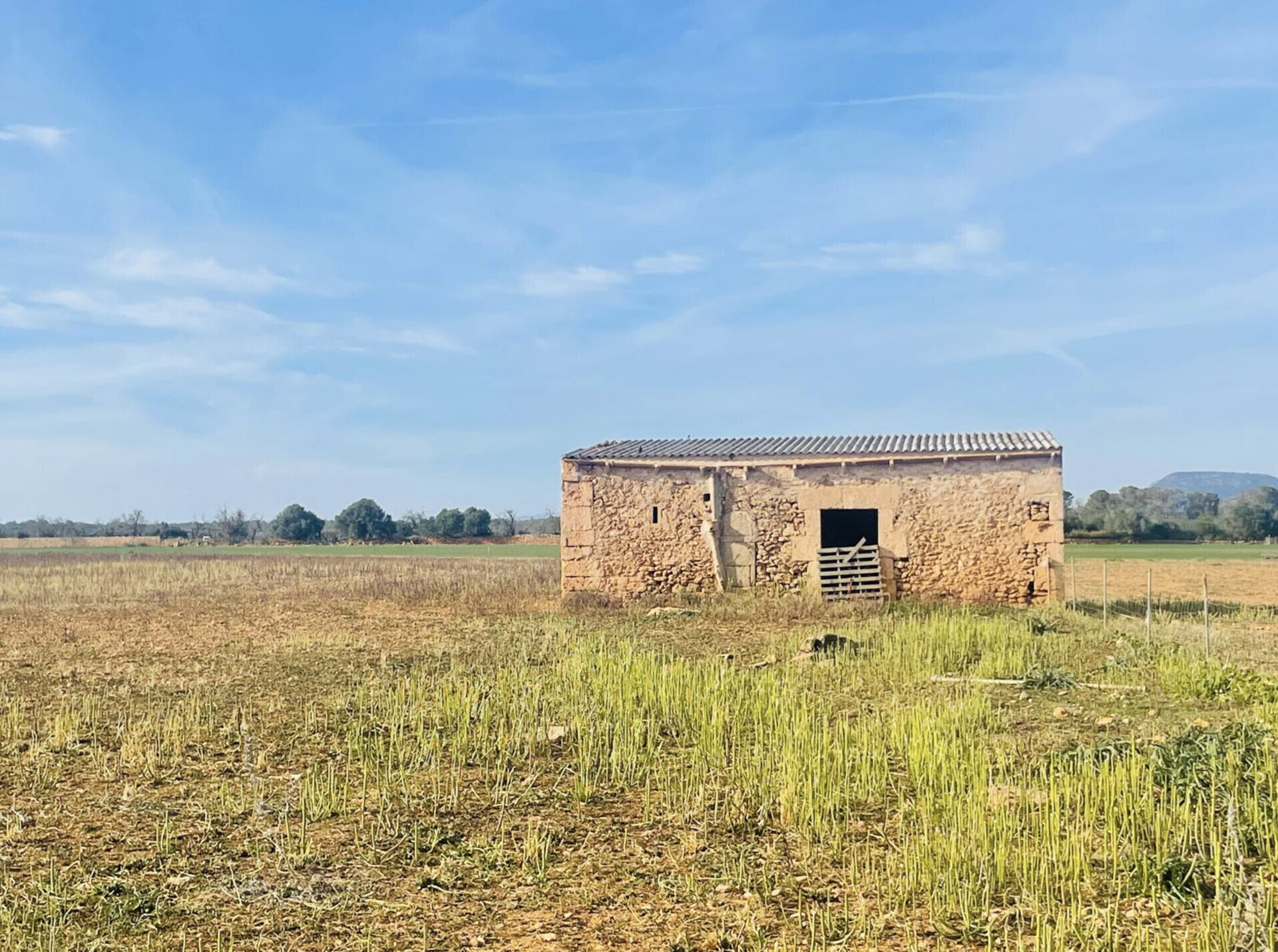 Property picture