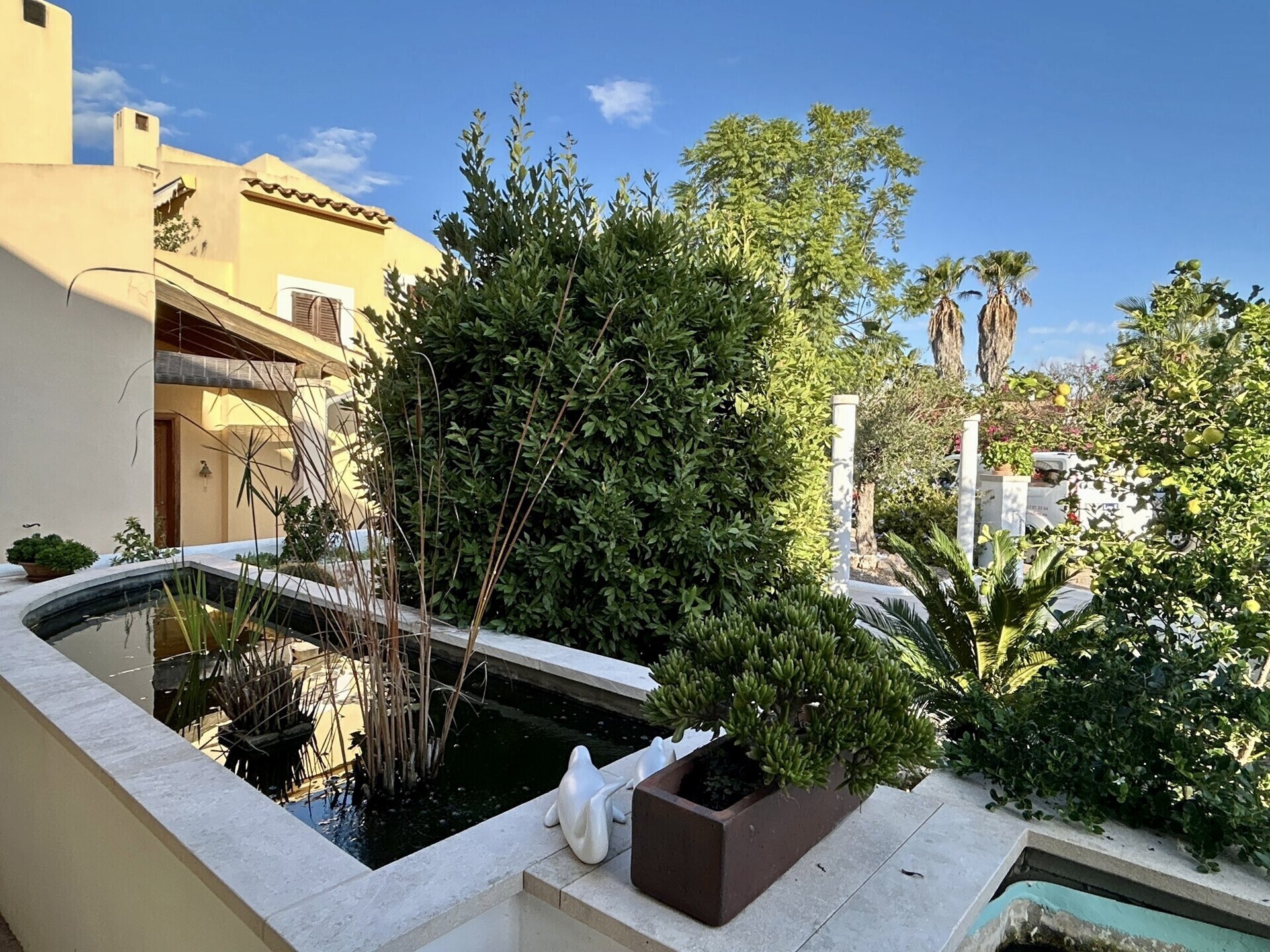Property picture