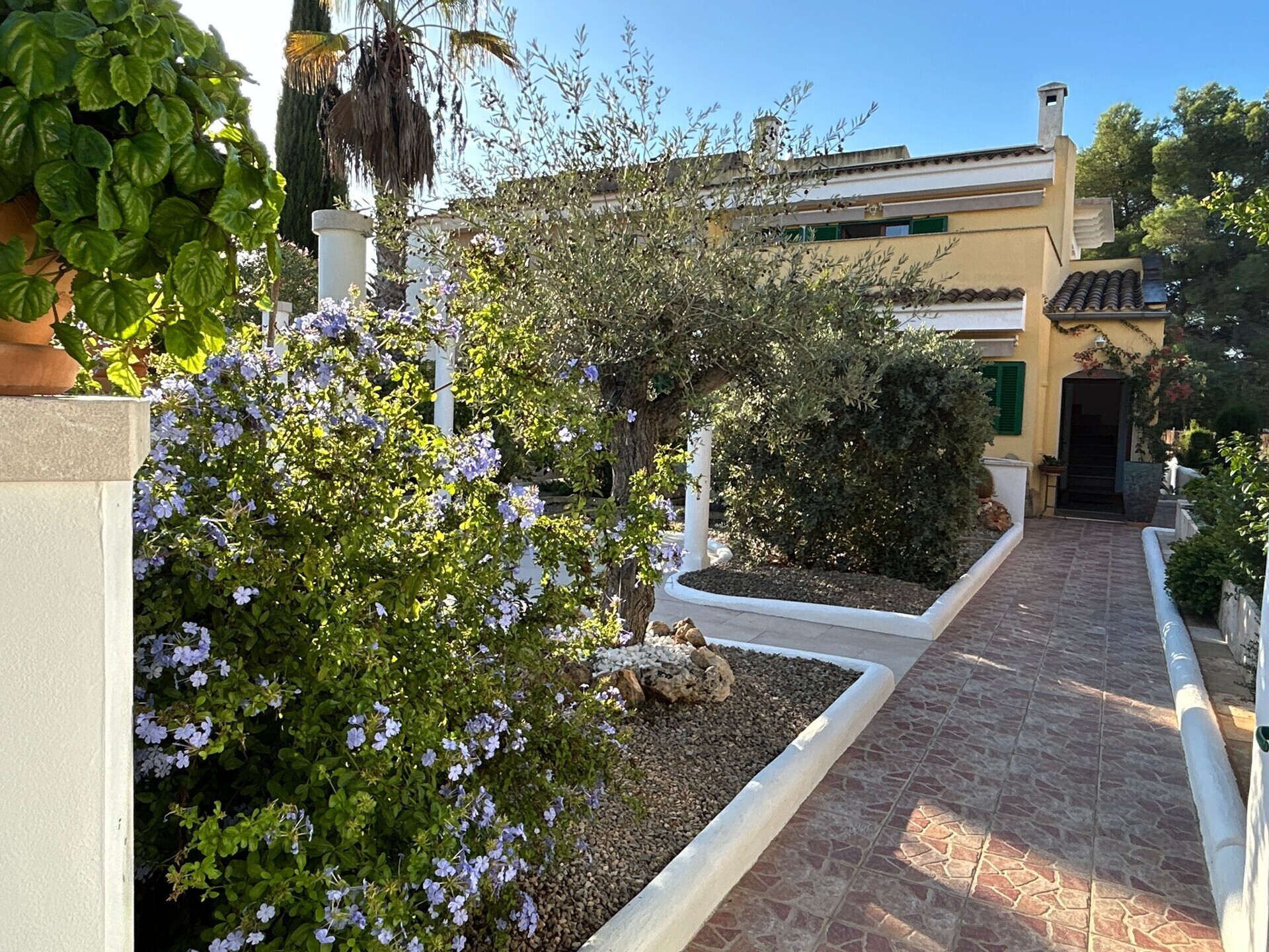 WhatsApp Image 2025-10-15 at 12.15.46 (6)