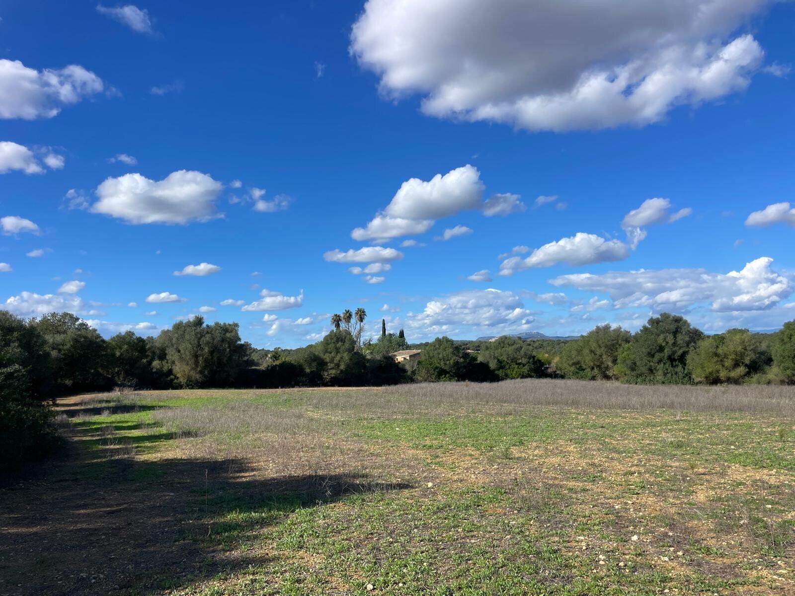 Property picture