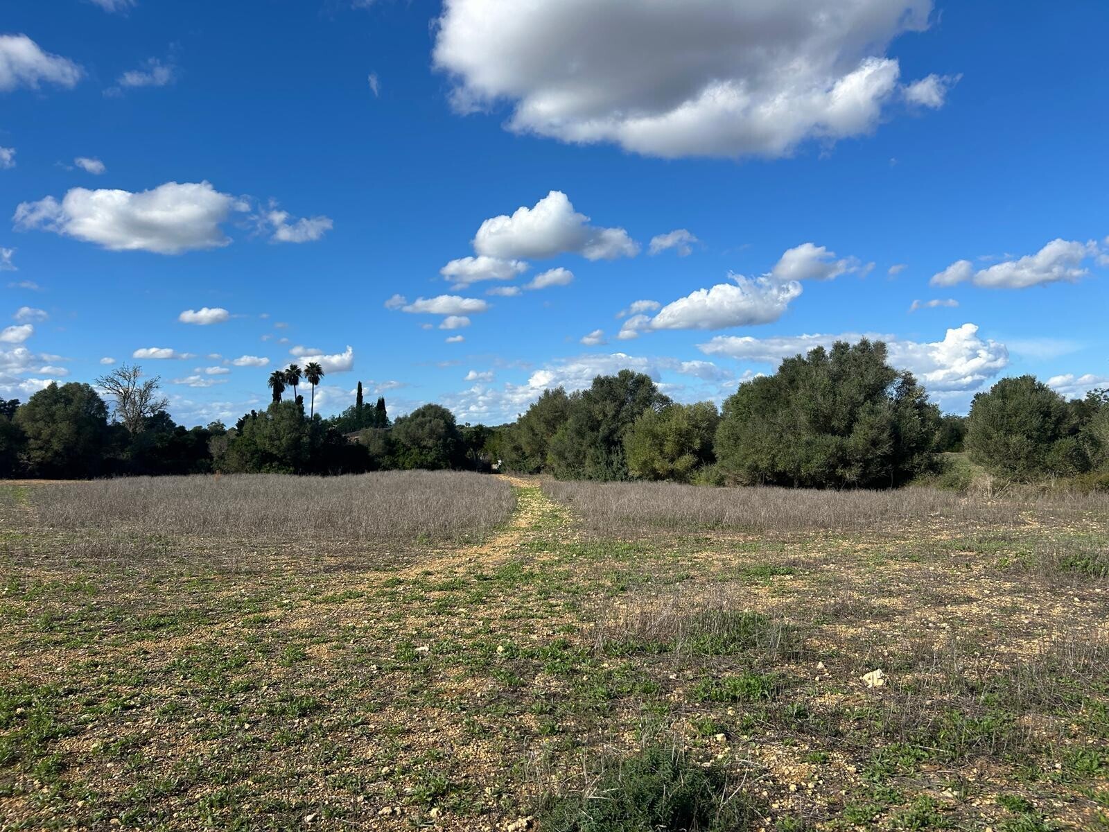 Property picture
