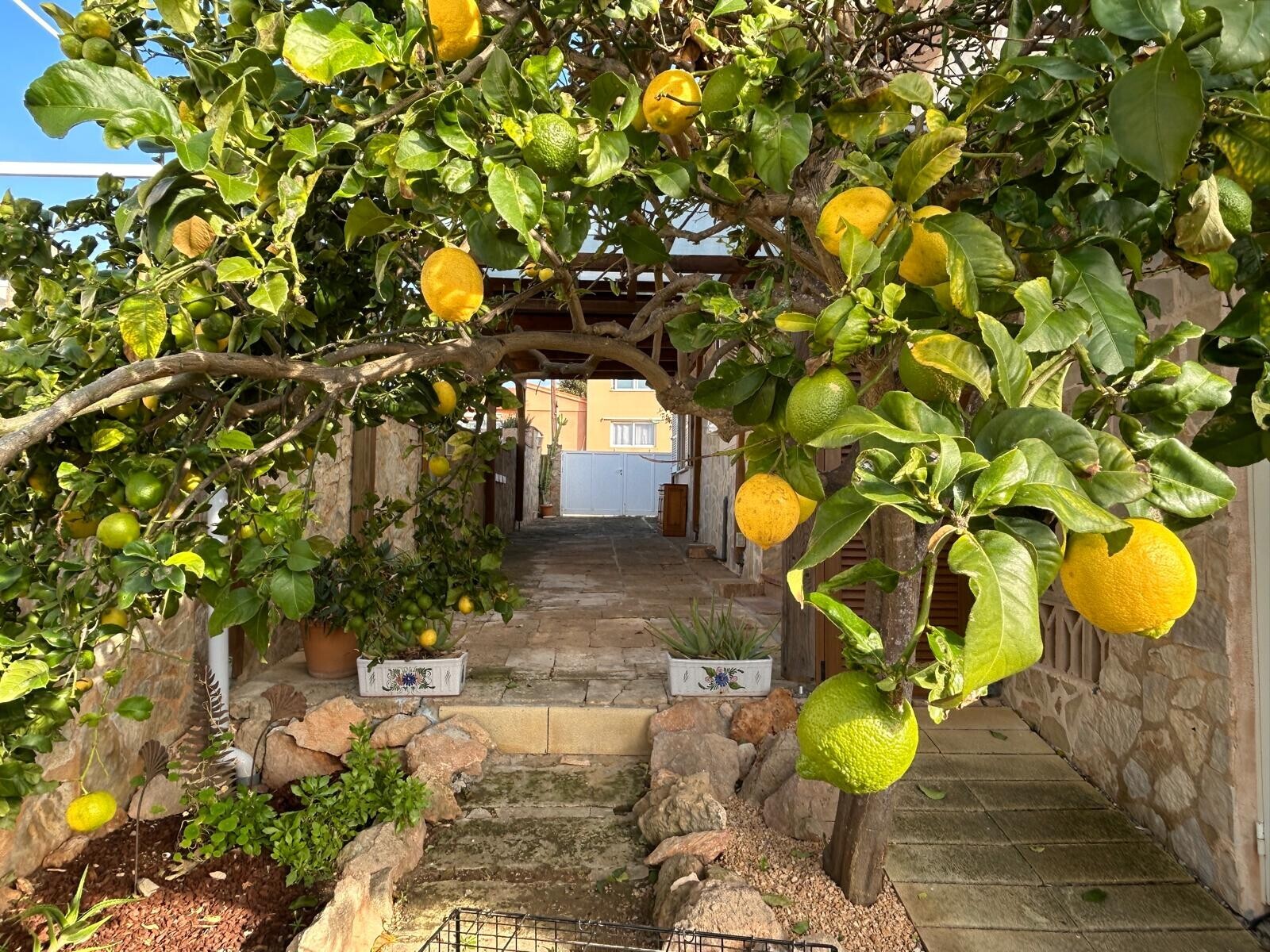 Property picture