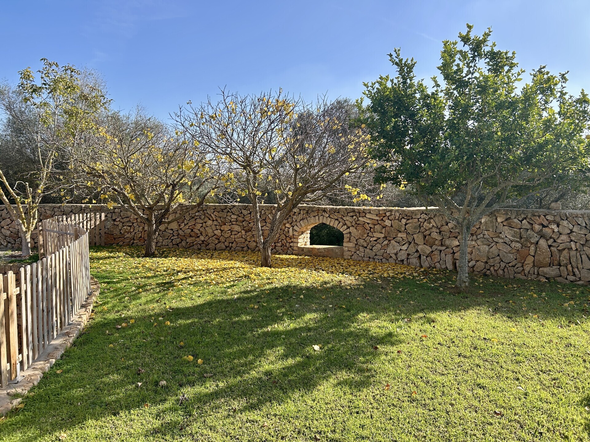 Property picture