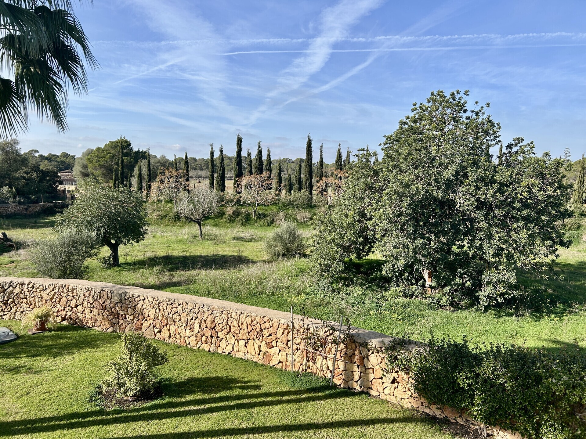 Property picture