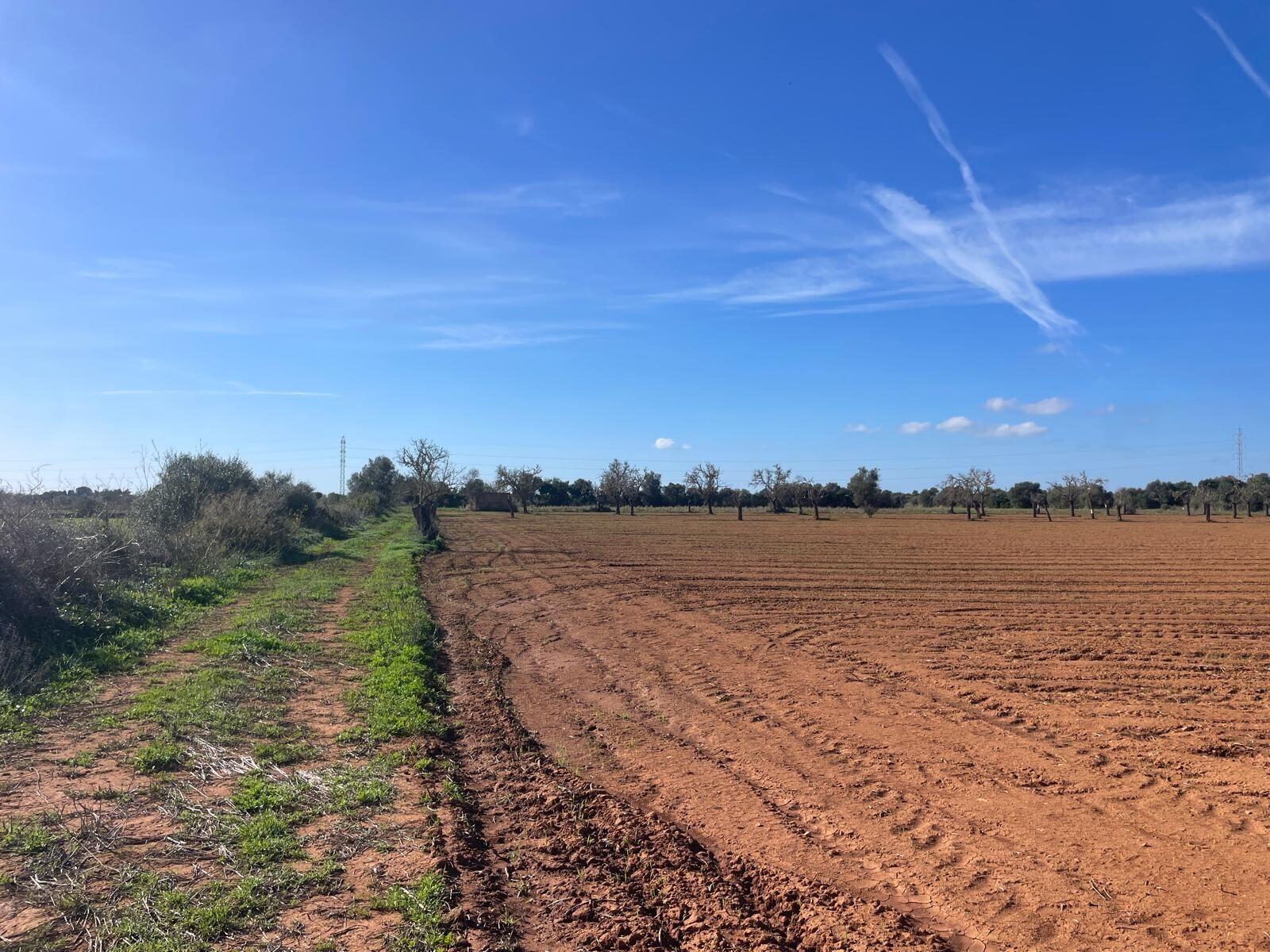 WhatsApp Image 2025-11-18 at 12.48.52