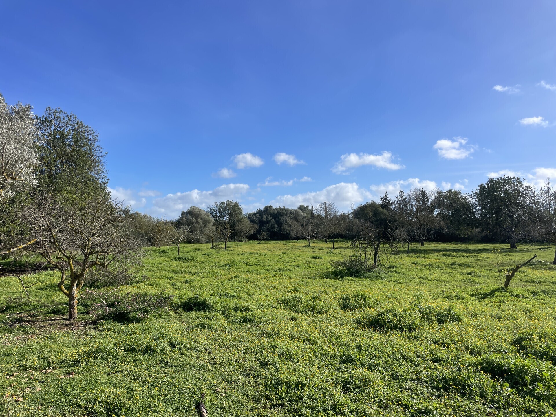 Property picture