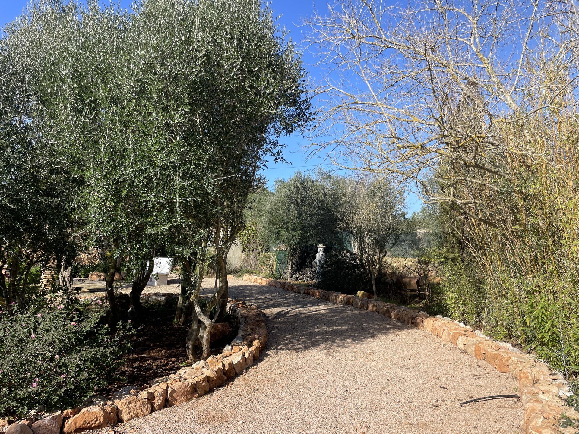 Property picture