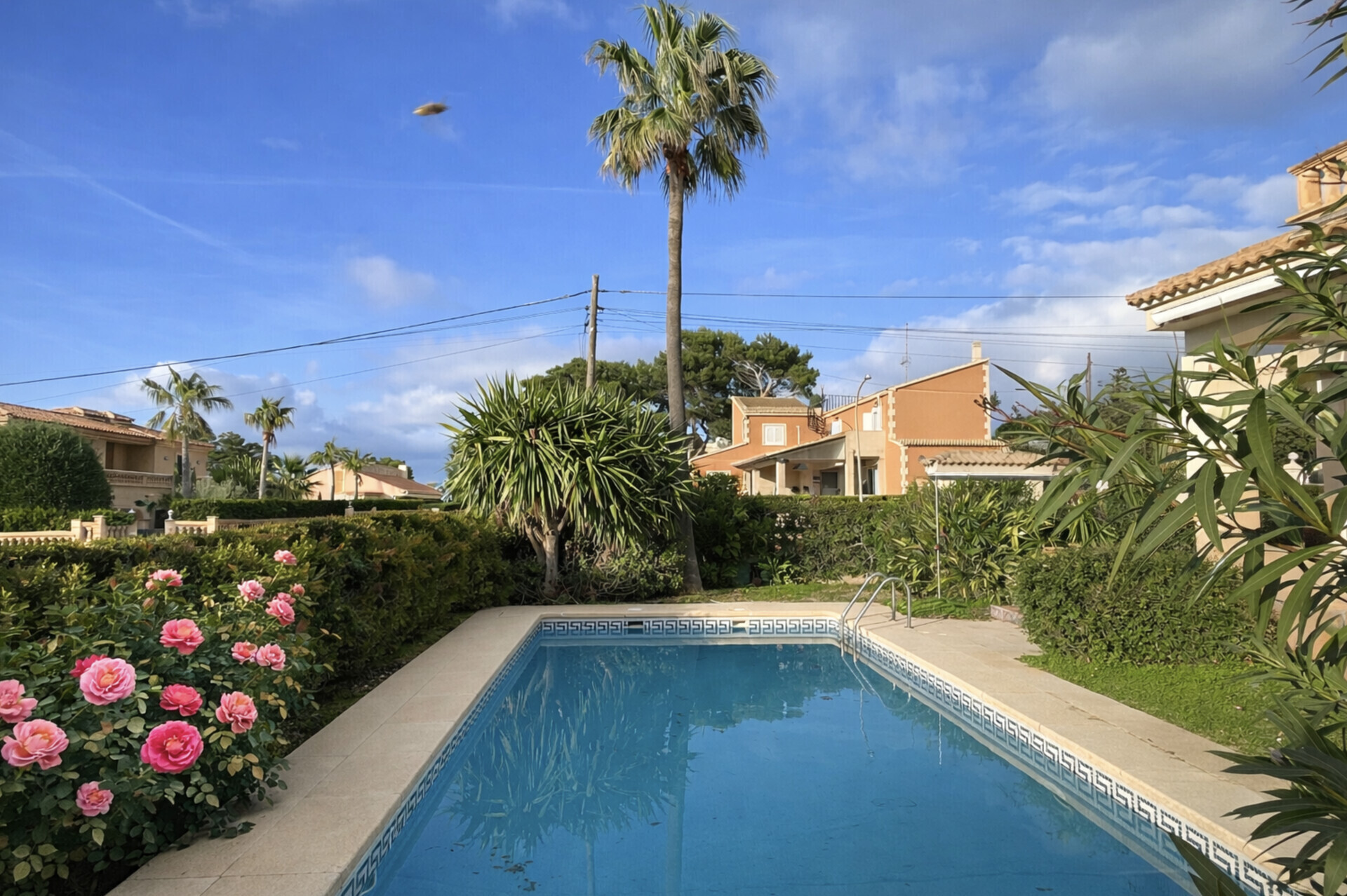 Property picture