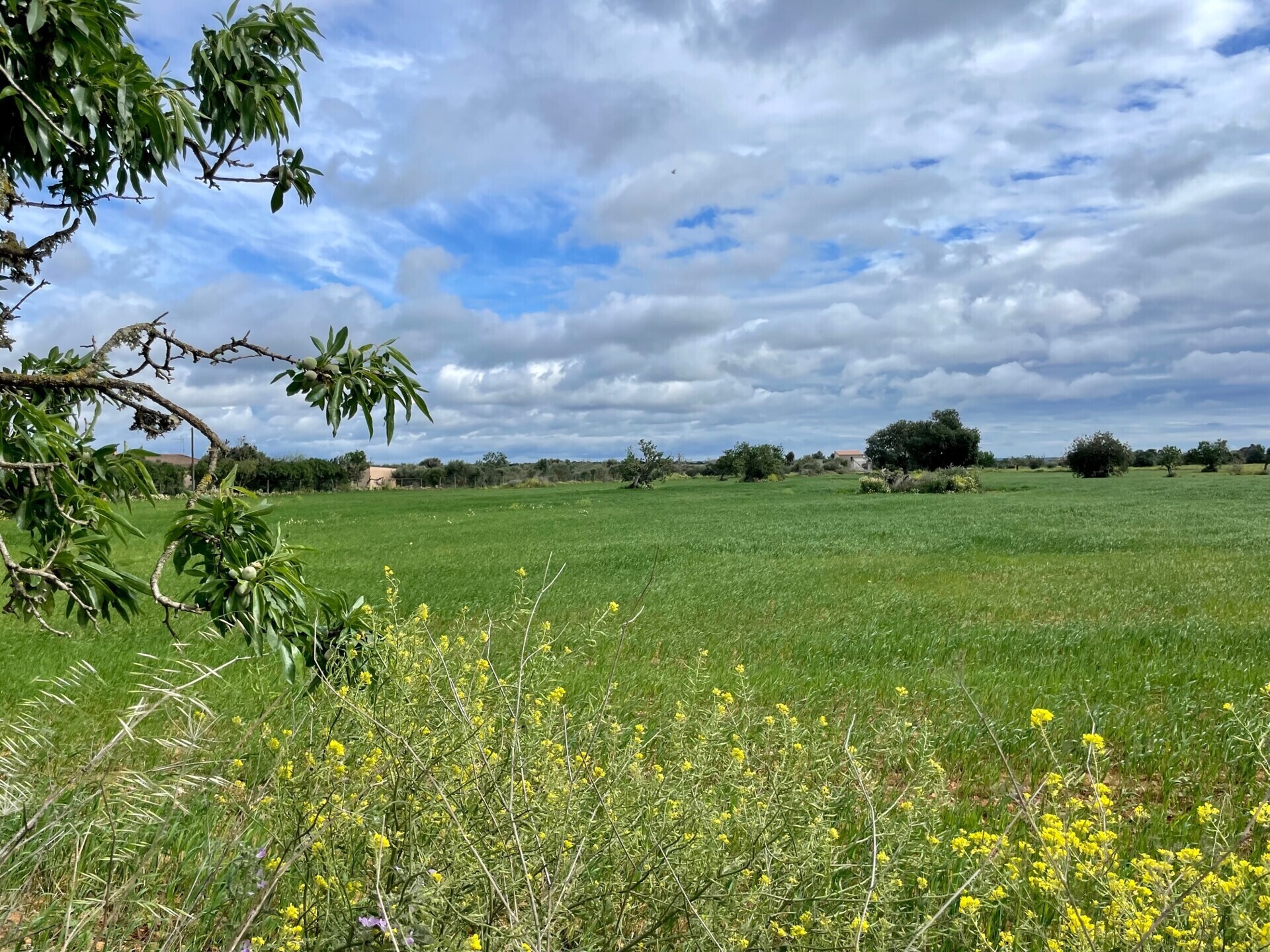 Immobilienbild