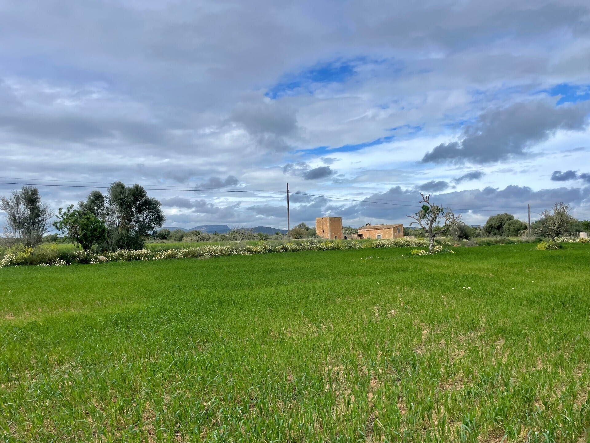 Property picture
