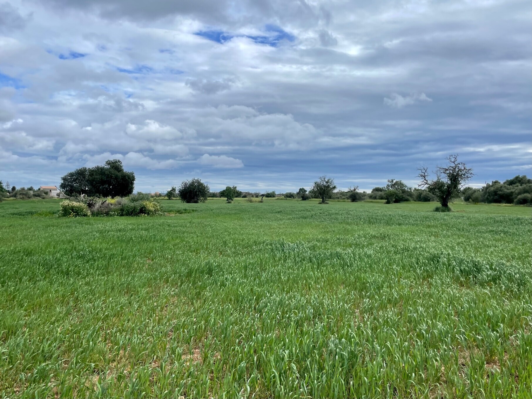 Property picture