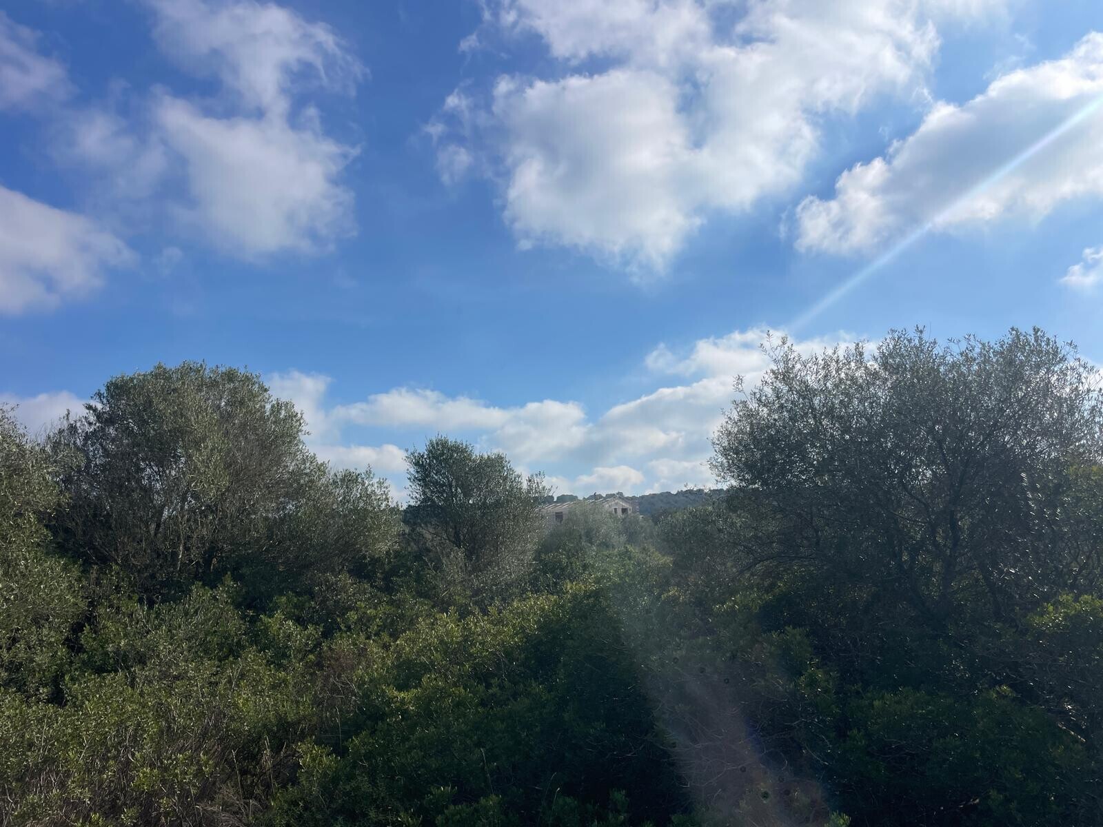 Property picture