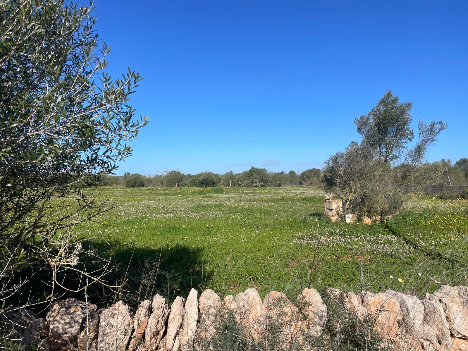 Property picture