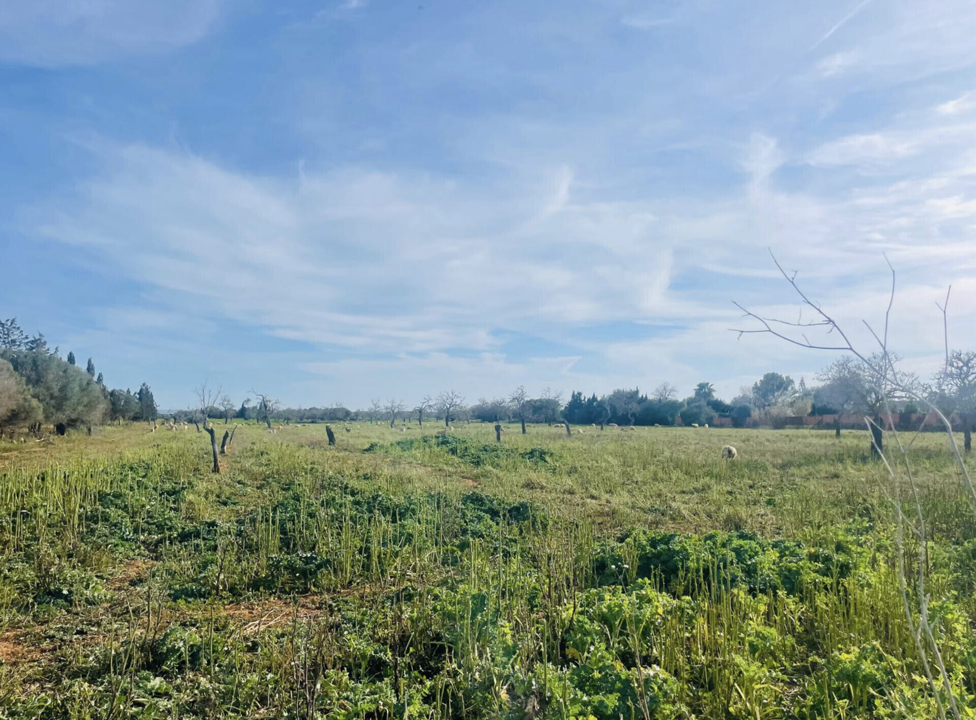 Property picture