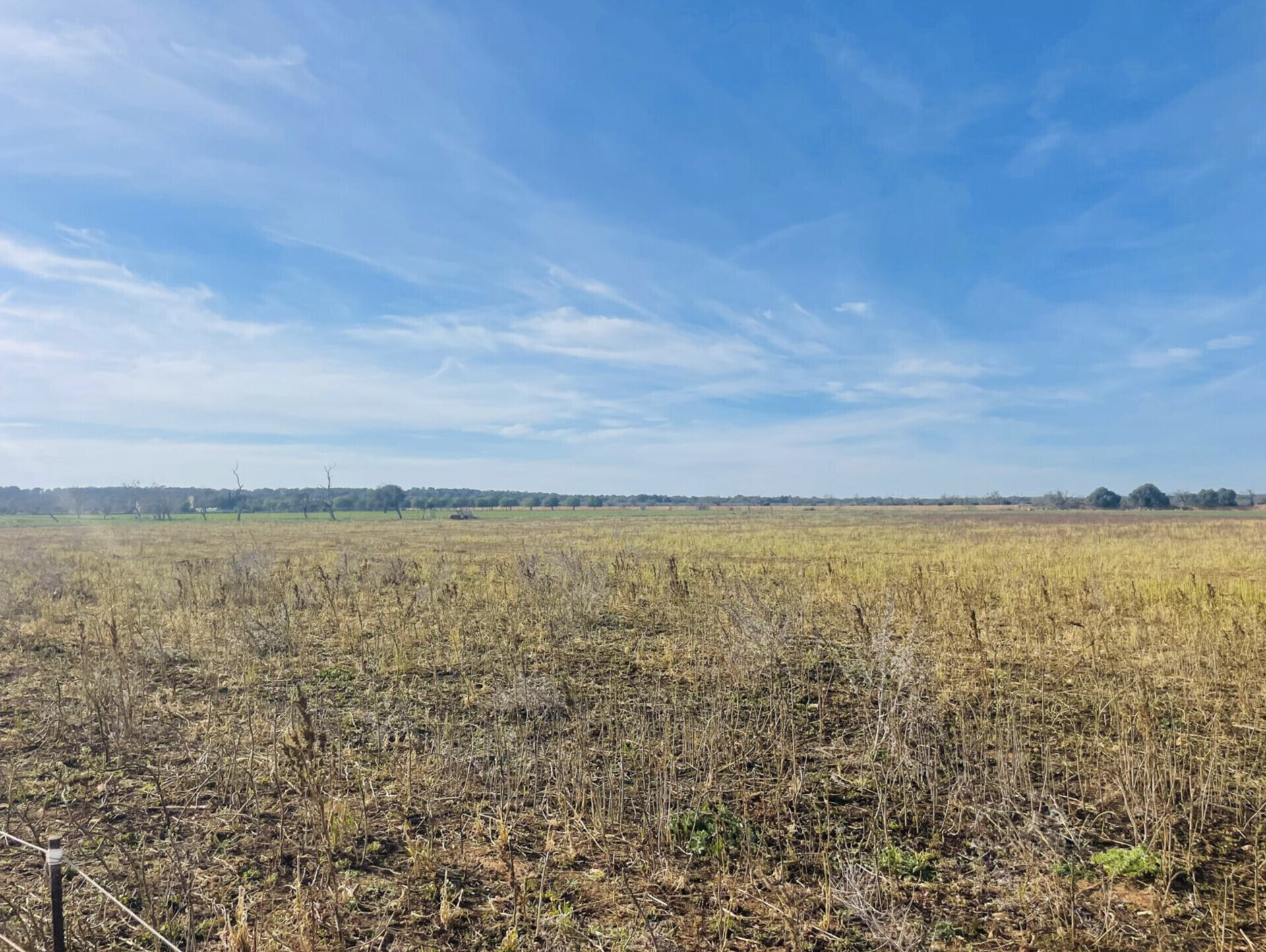 Property picture