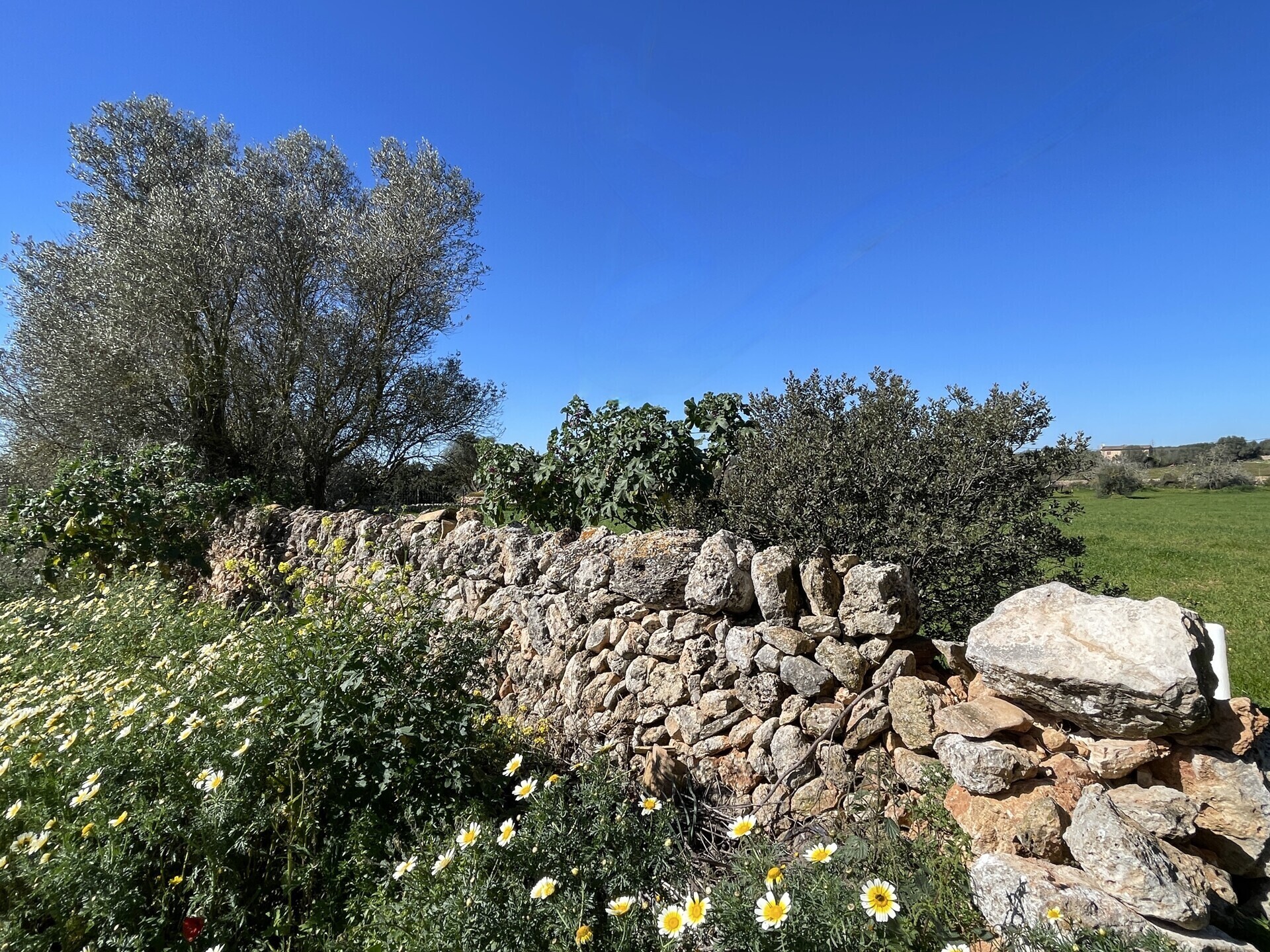 Property picture