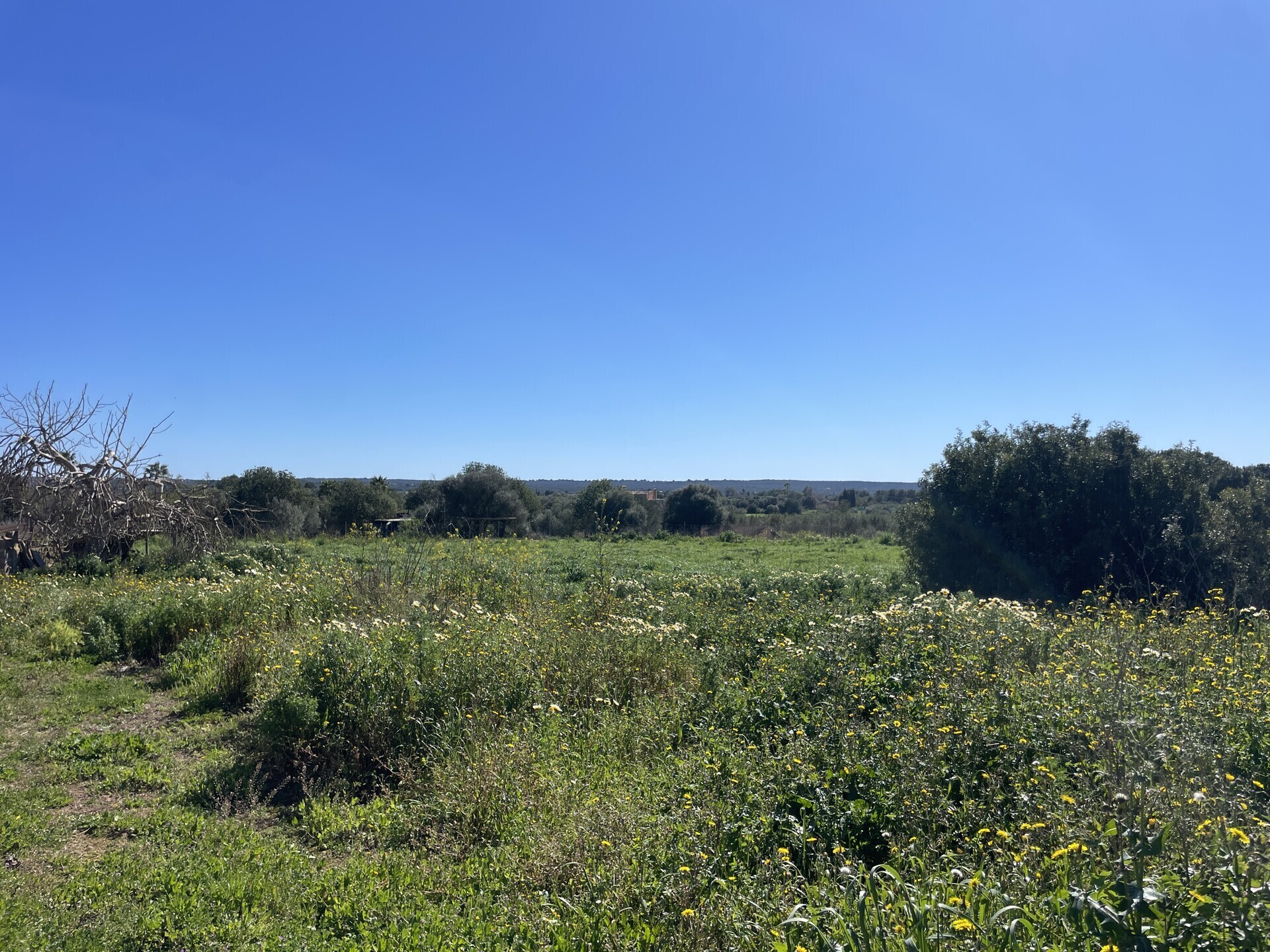 Property picture