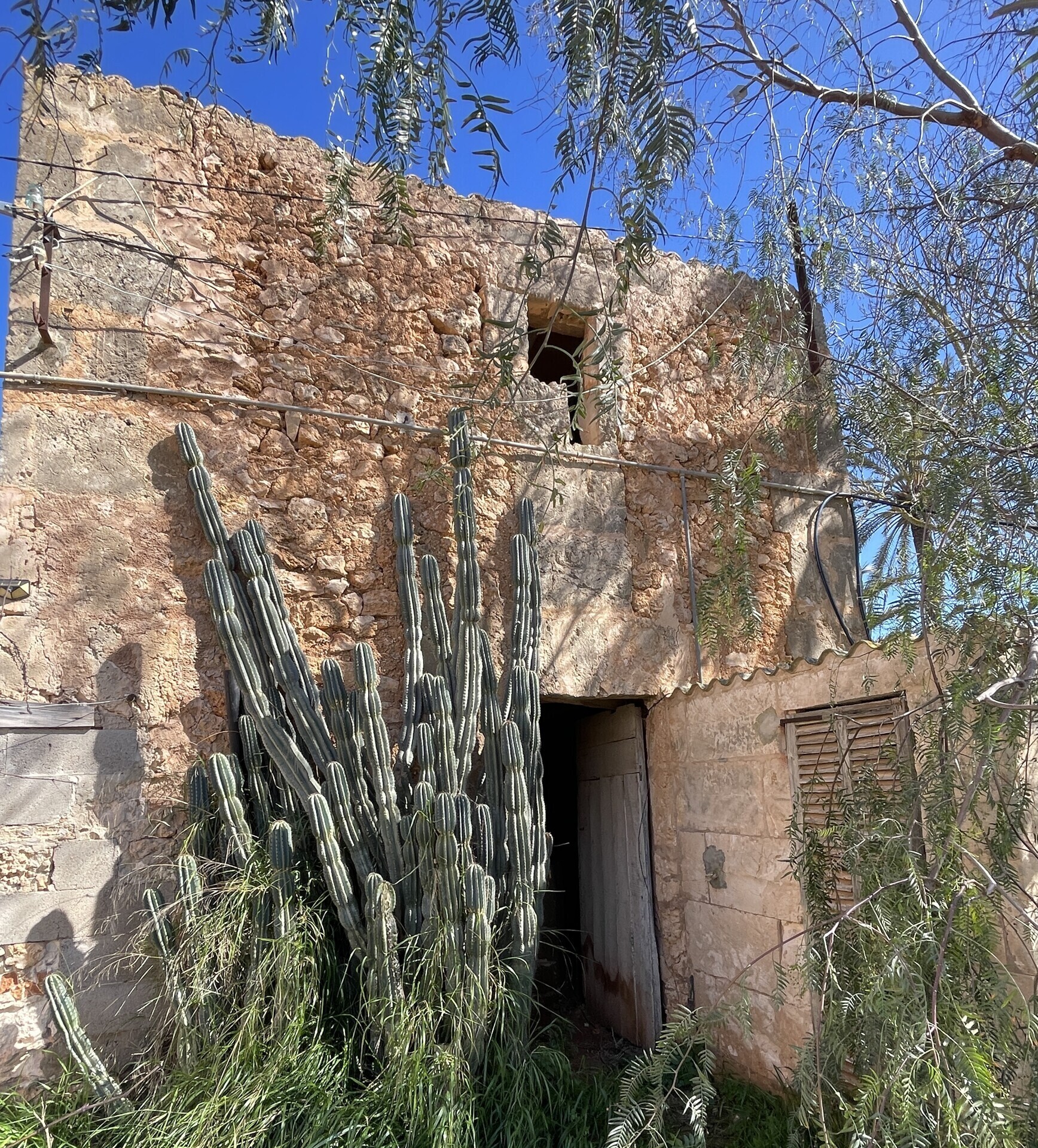 Property picture