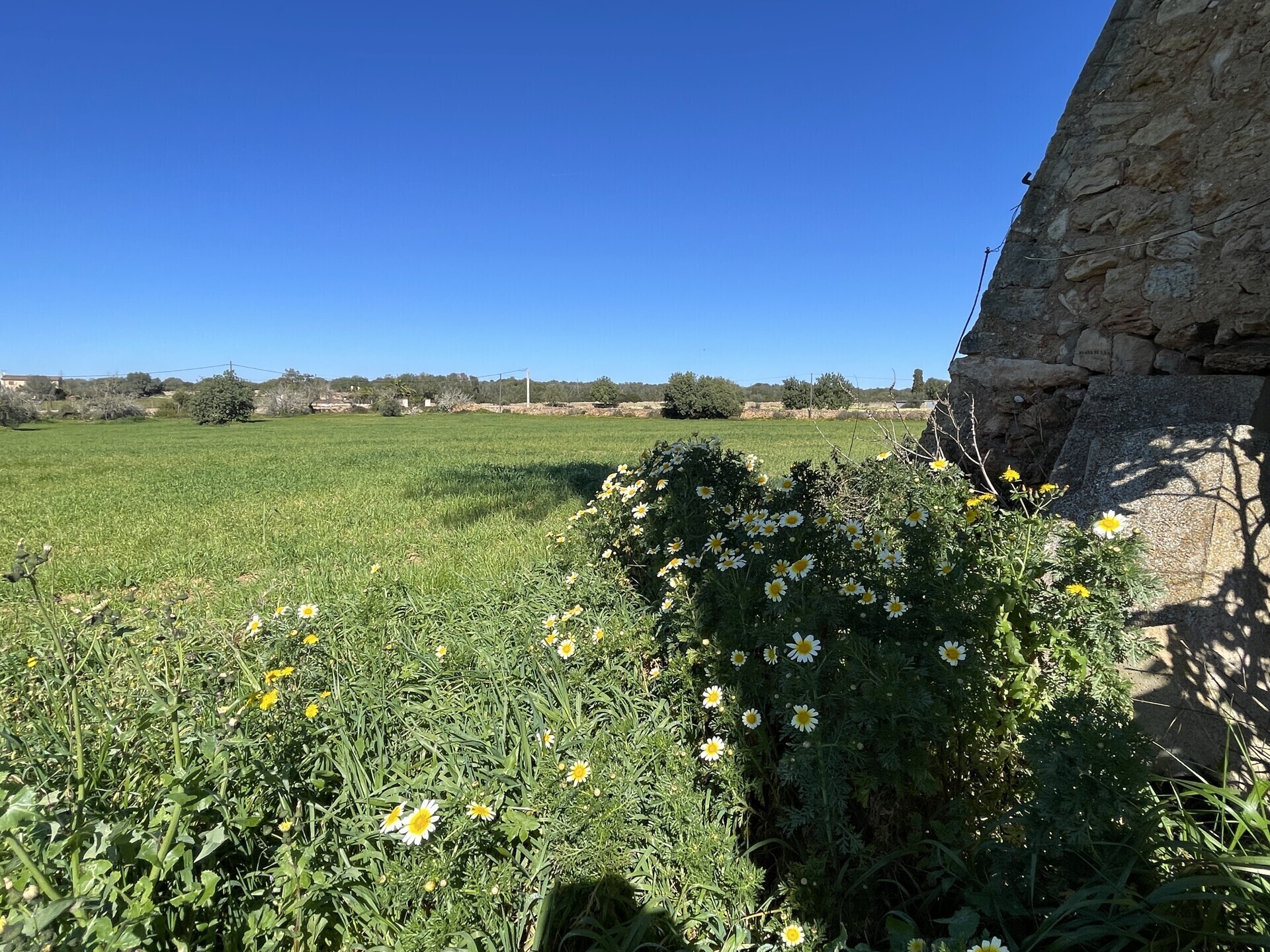 Property picture