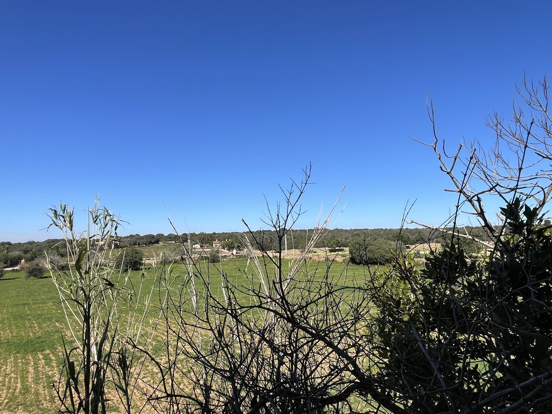 Property picture