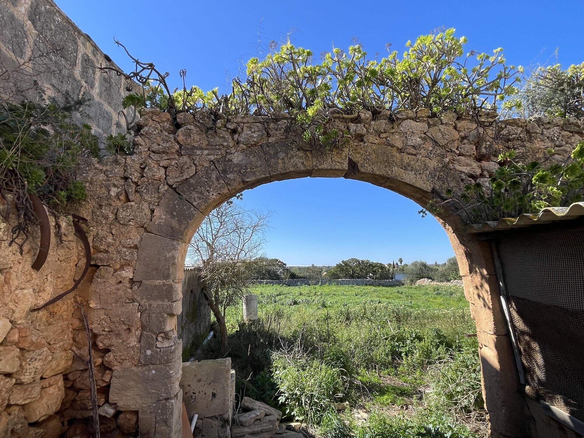 Property picture