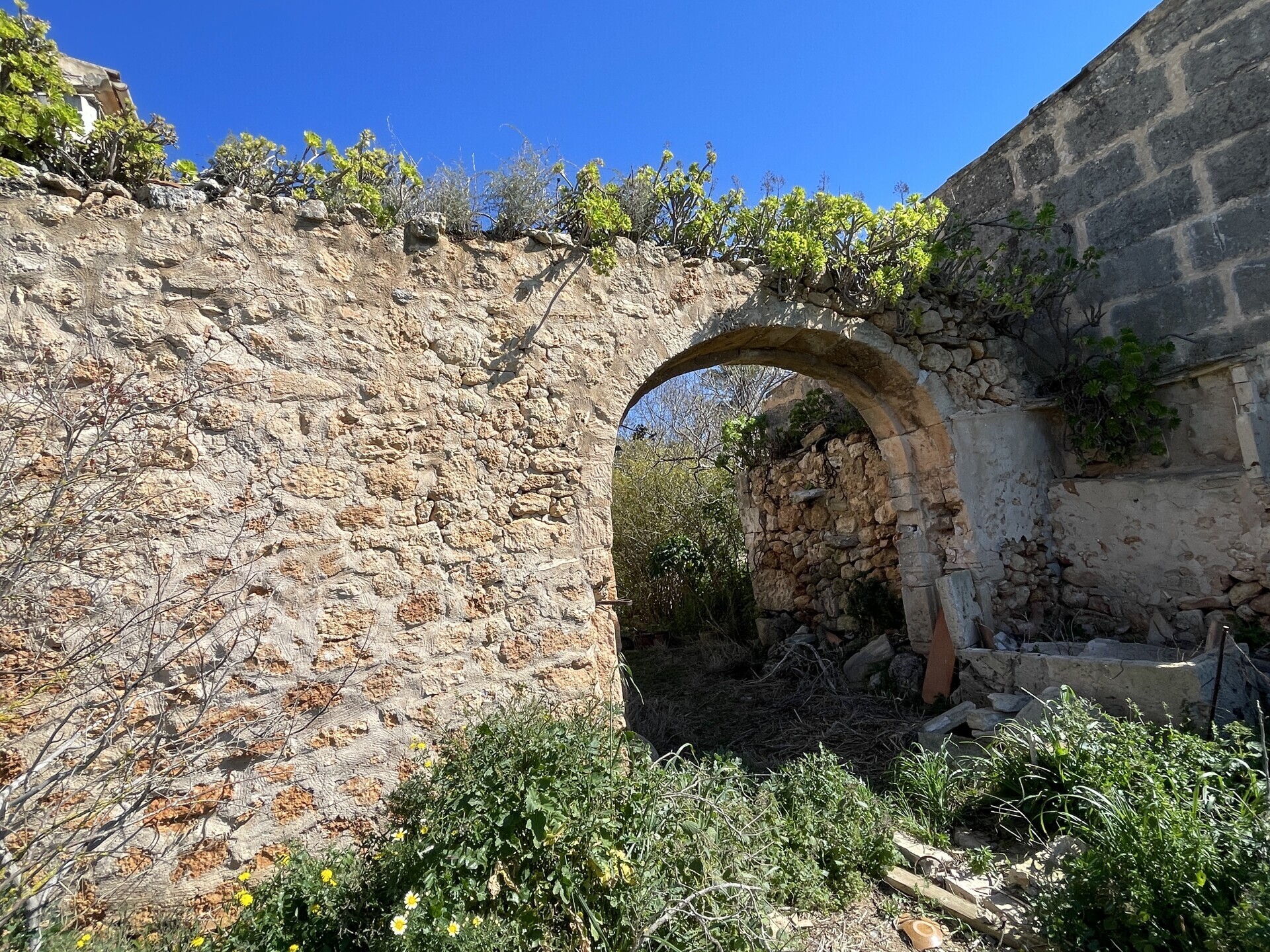 Property picture
